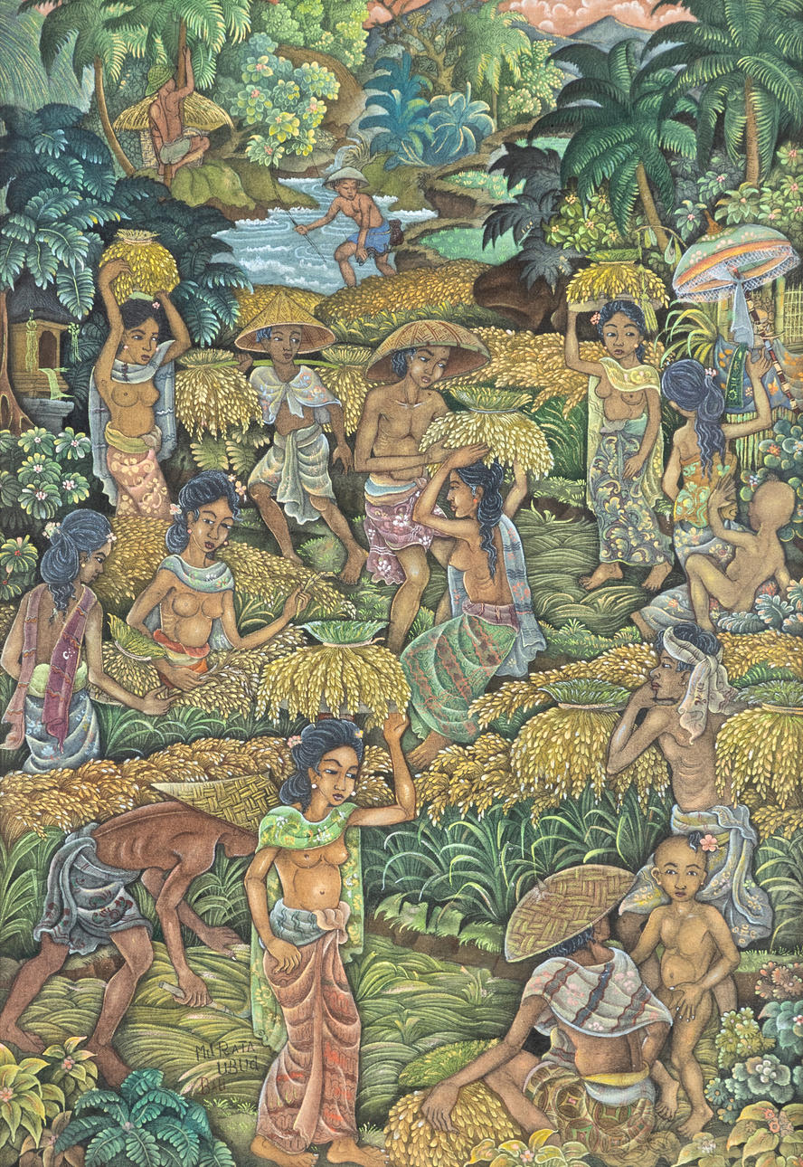 INDONESISCHER KÜNSTLER. Rice harvest, Ubud, Bali.