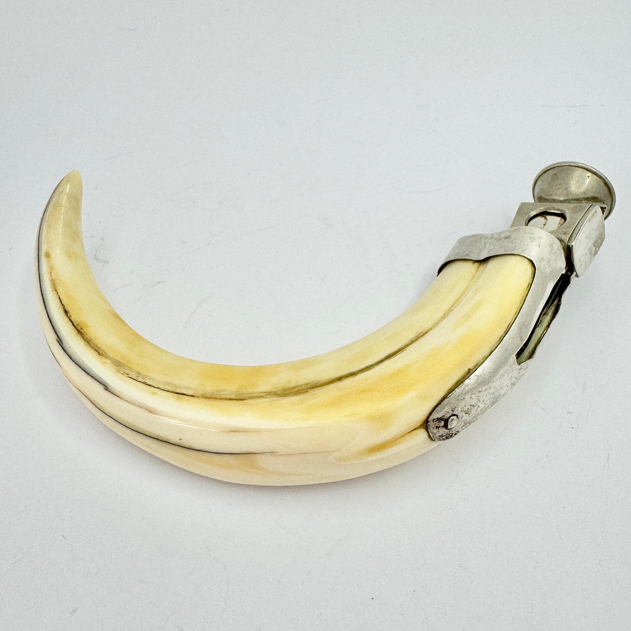 CIGARSKÆRER, sølv, metal og vildsvin.