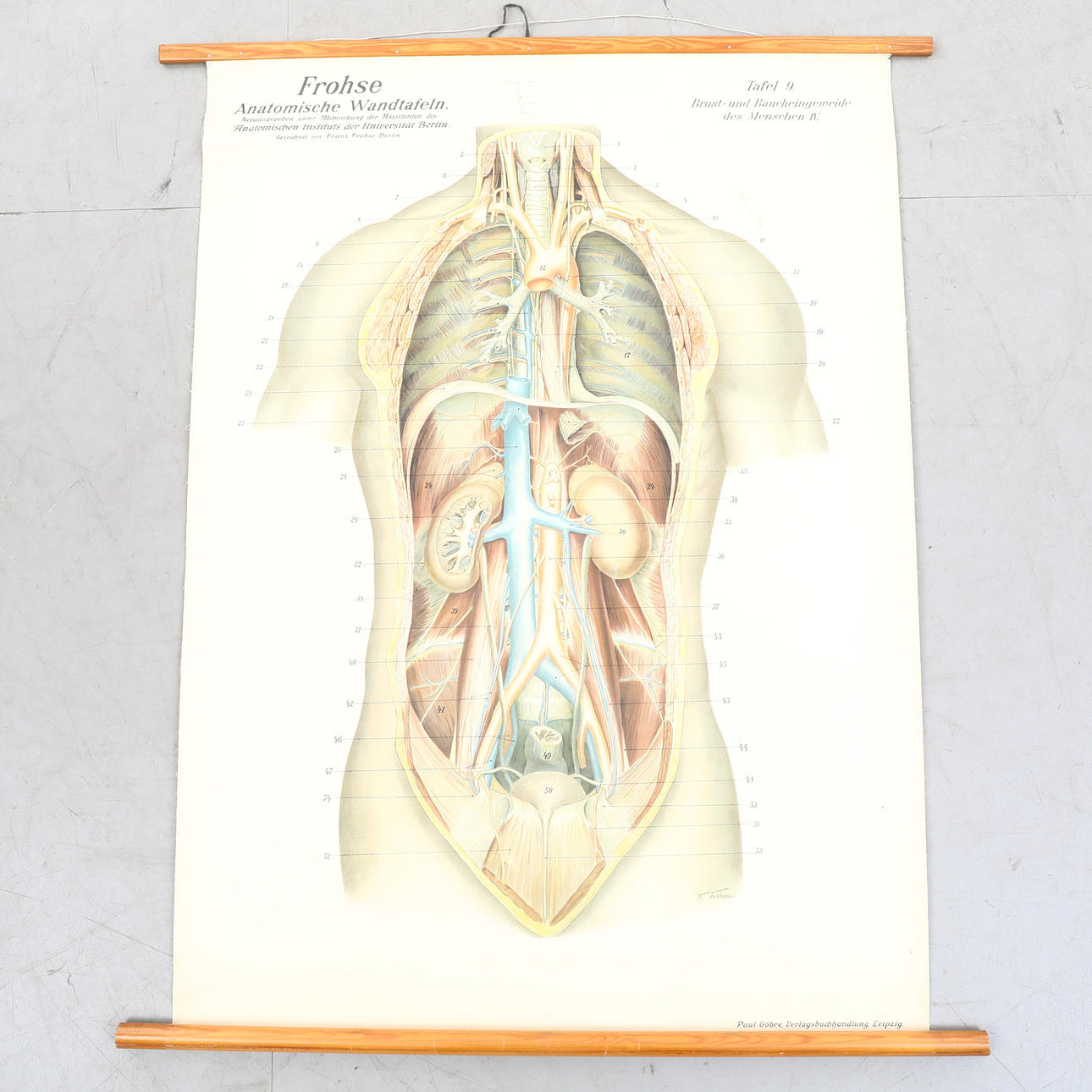 ANATOMIC PLANSCH, Saksa.