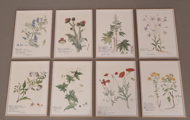 CHARLOTTE VON SCHEELE. EFTER. TAVLOR, 8 st, tryck, Charlotte von Scheéle, sent 1900-tal, växter / blommor.