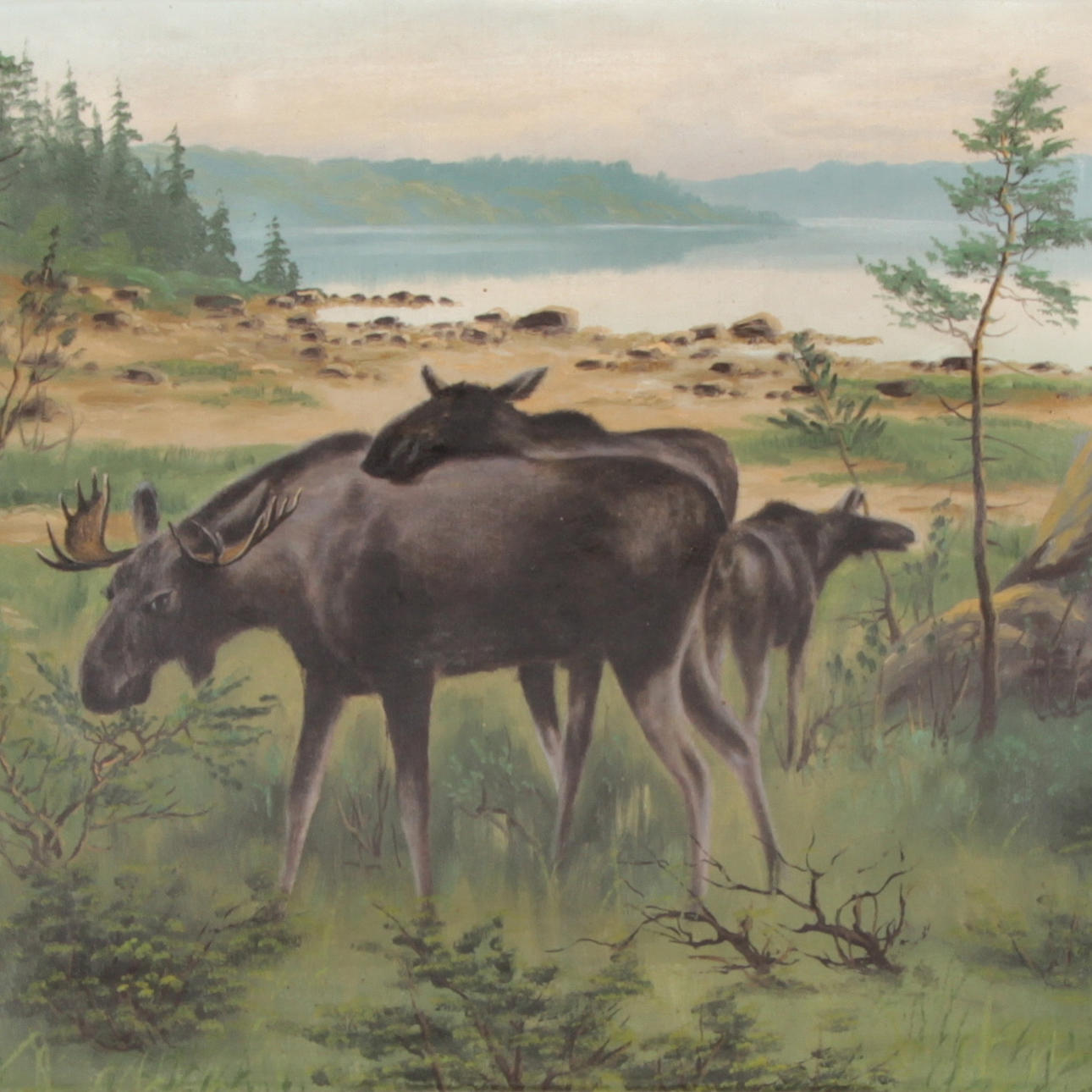 AXEL BORG. EFTER. Olja på duk, Älgmotiv, signerad.