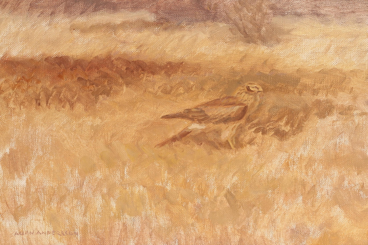 ALLAN ANDERSSON. Oil on canvas, signed.