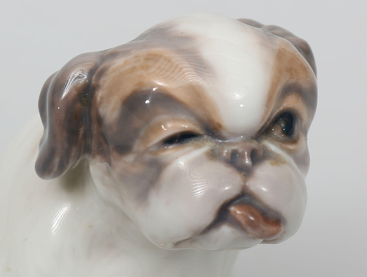 FIGURIN, porslin, Hund, nummer 1134, Dahl Jensen, Danmark.