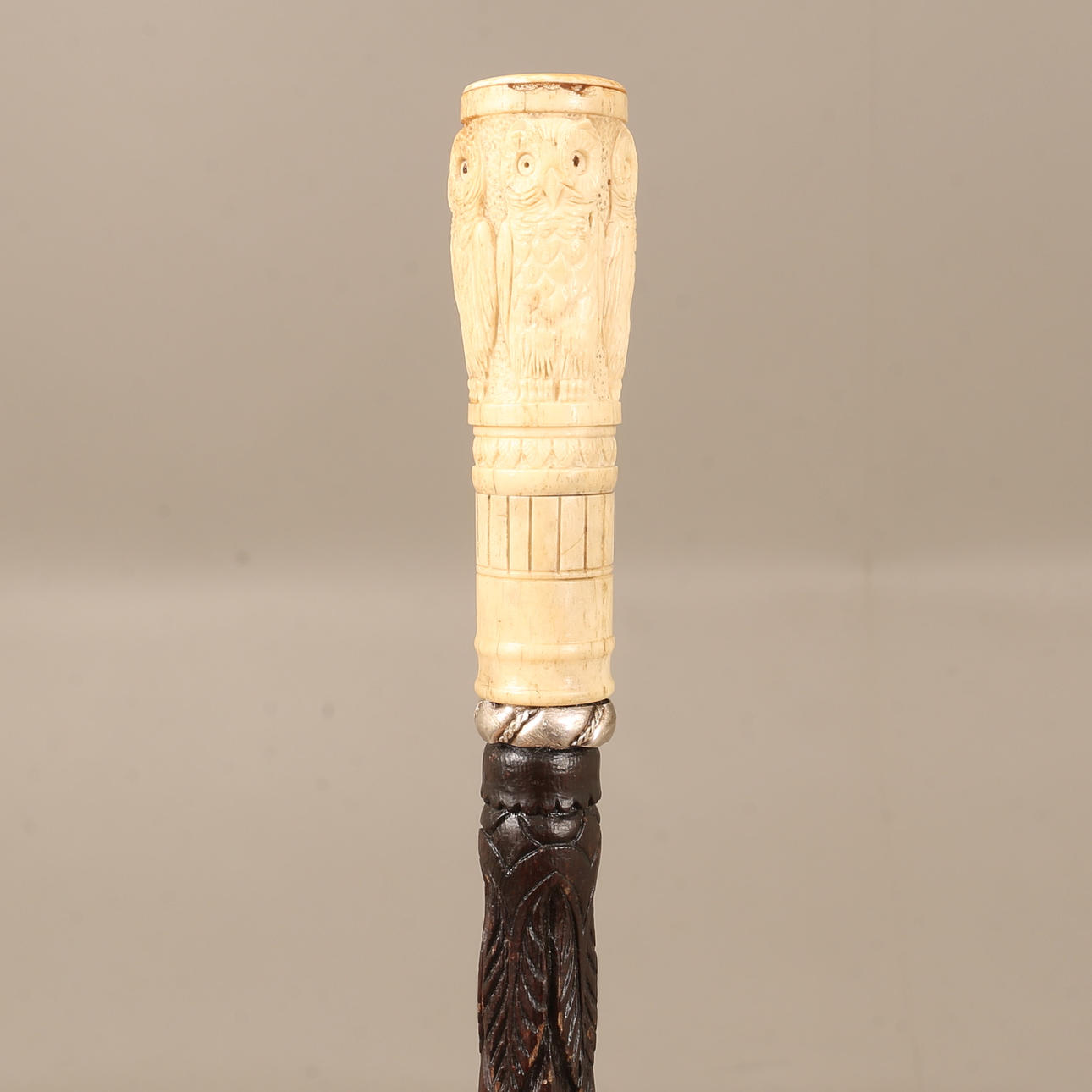 CANE, wood and bone.