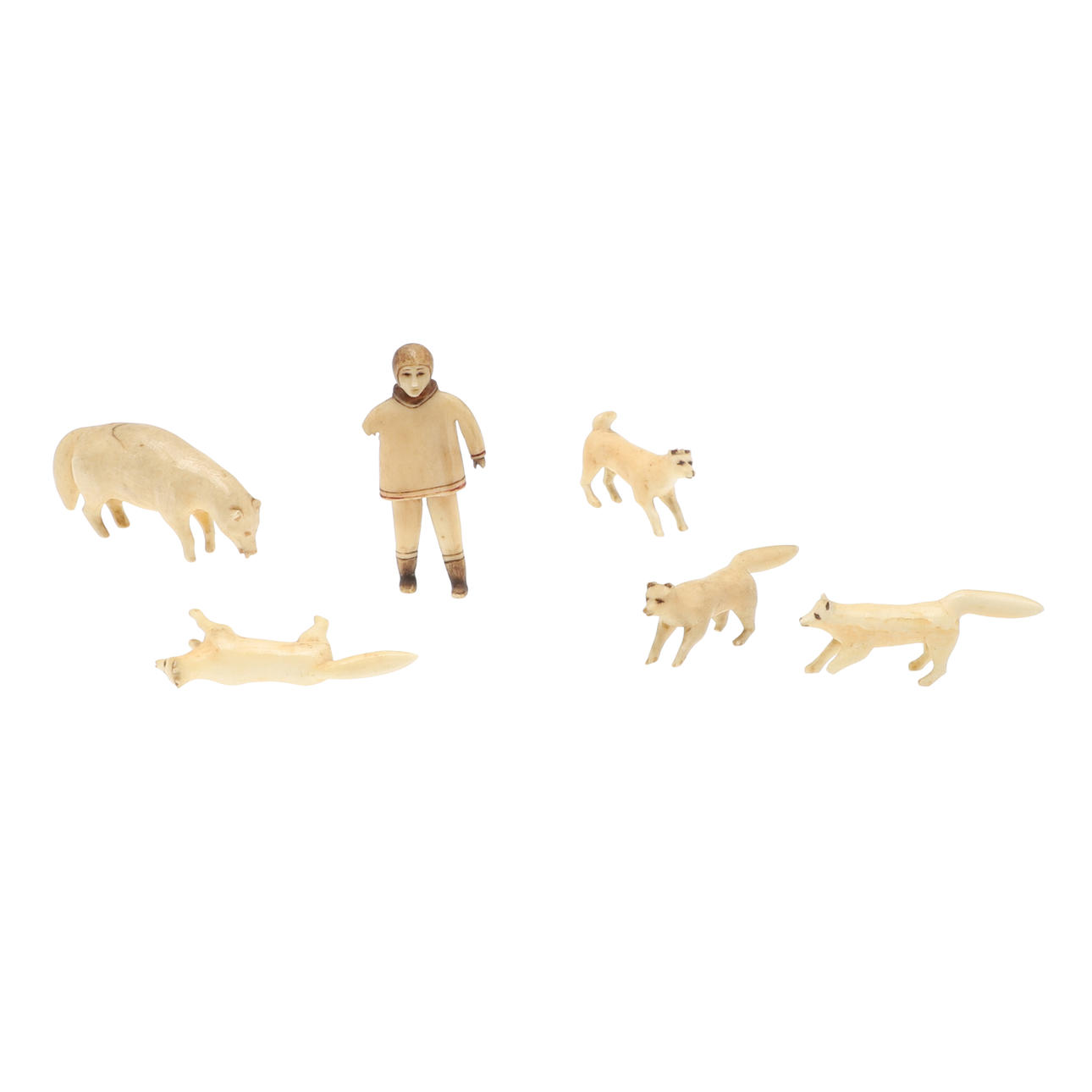 EN GRUPP VALROSS-ELFENBENSINUITRISTNINGAR.