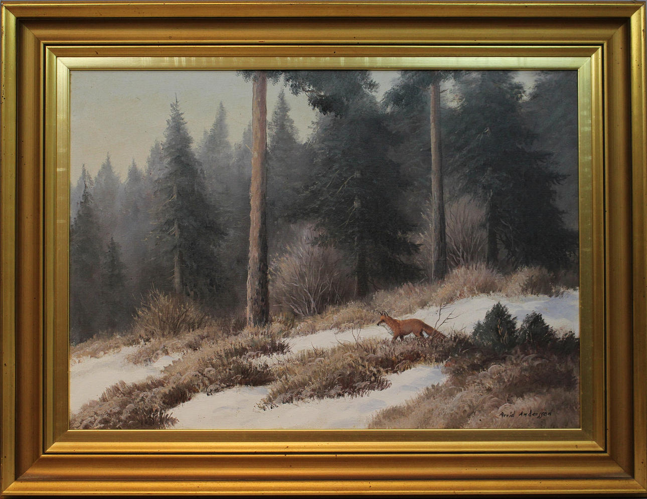 ARVID ANDERSSON. Räv i vinterlandskap. Olja på duk. Signerad.