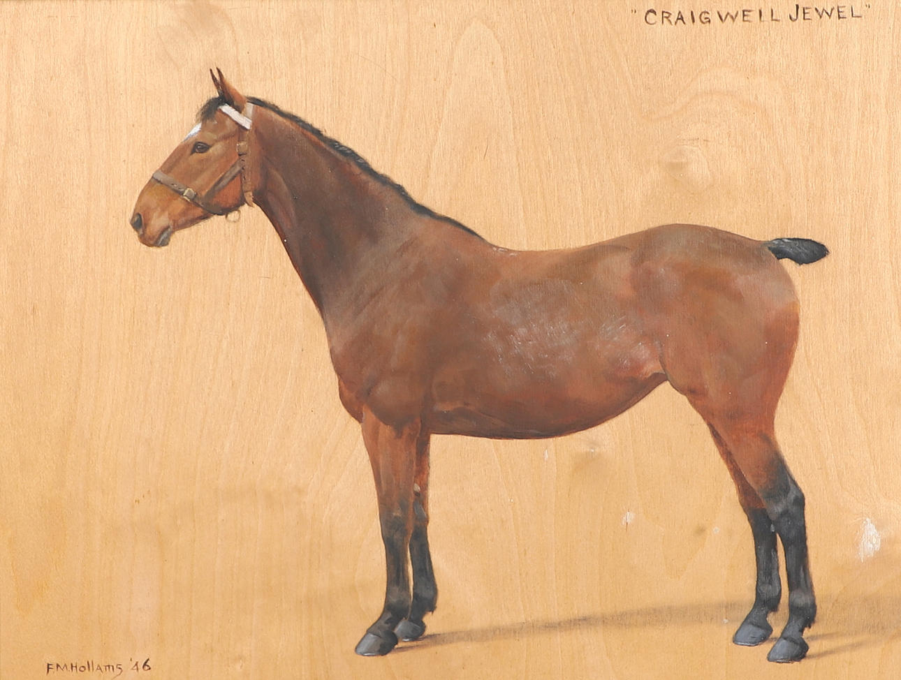 FRANCES MABEL HOLLAMS (1877-1963). `CRAIGWELL JEWEL`, A BAY HORSE.
