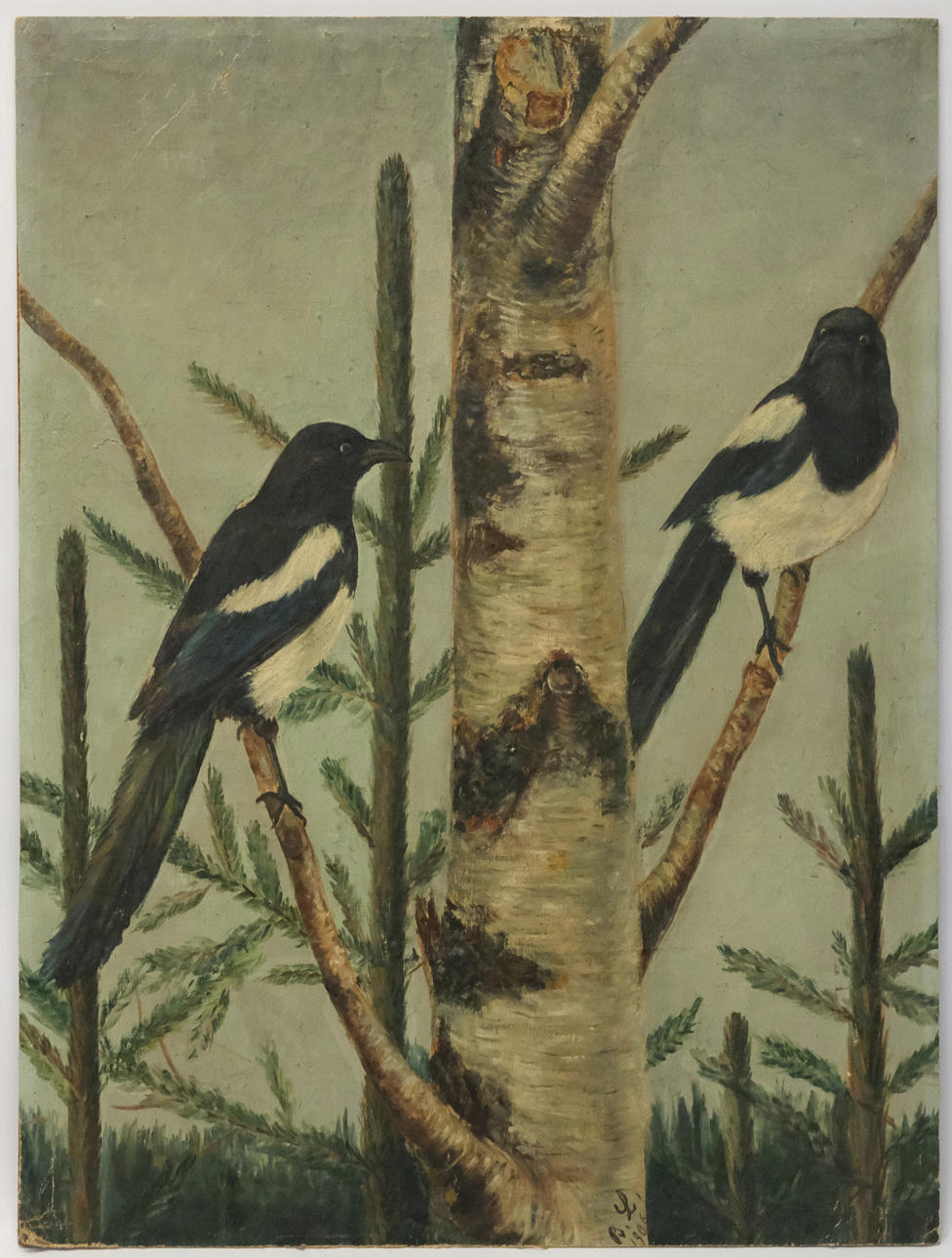 OIDENTIFIERAD KONSTNÄR, SKATOR.