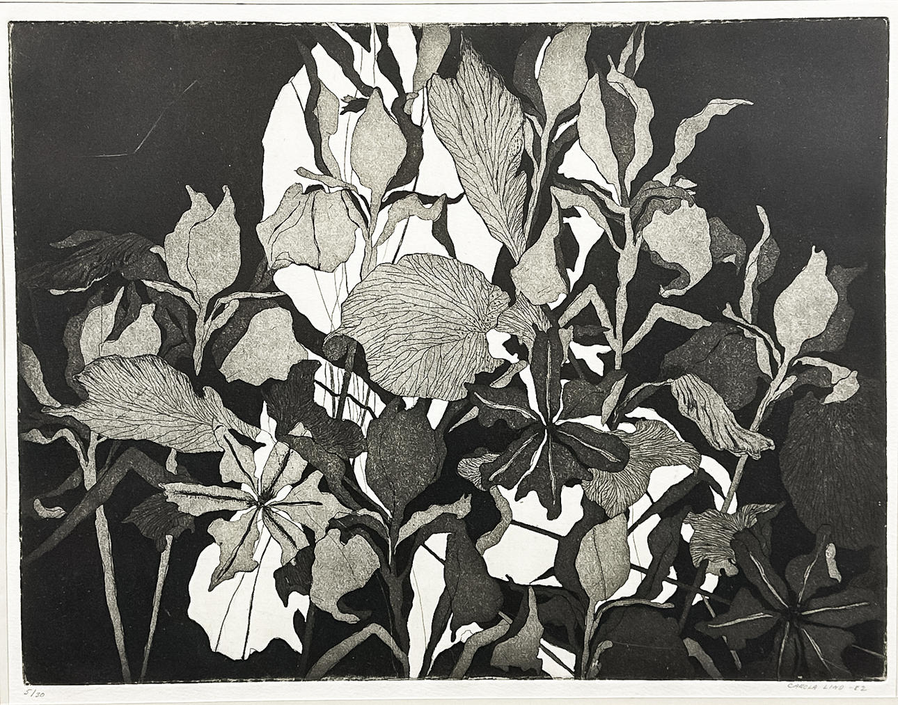 CAROLA LIND. LITHOGRAPH, signed, numbered, dated-82.