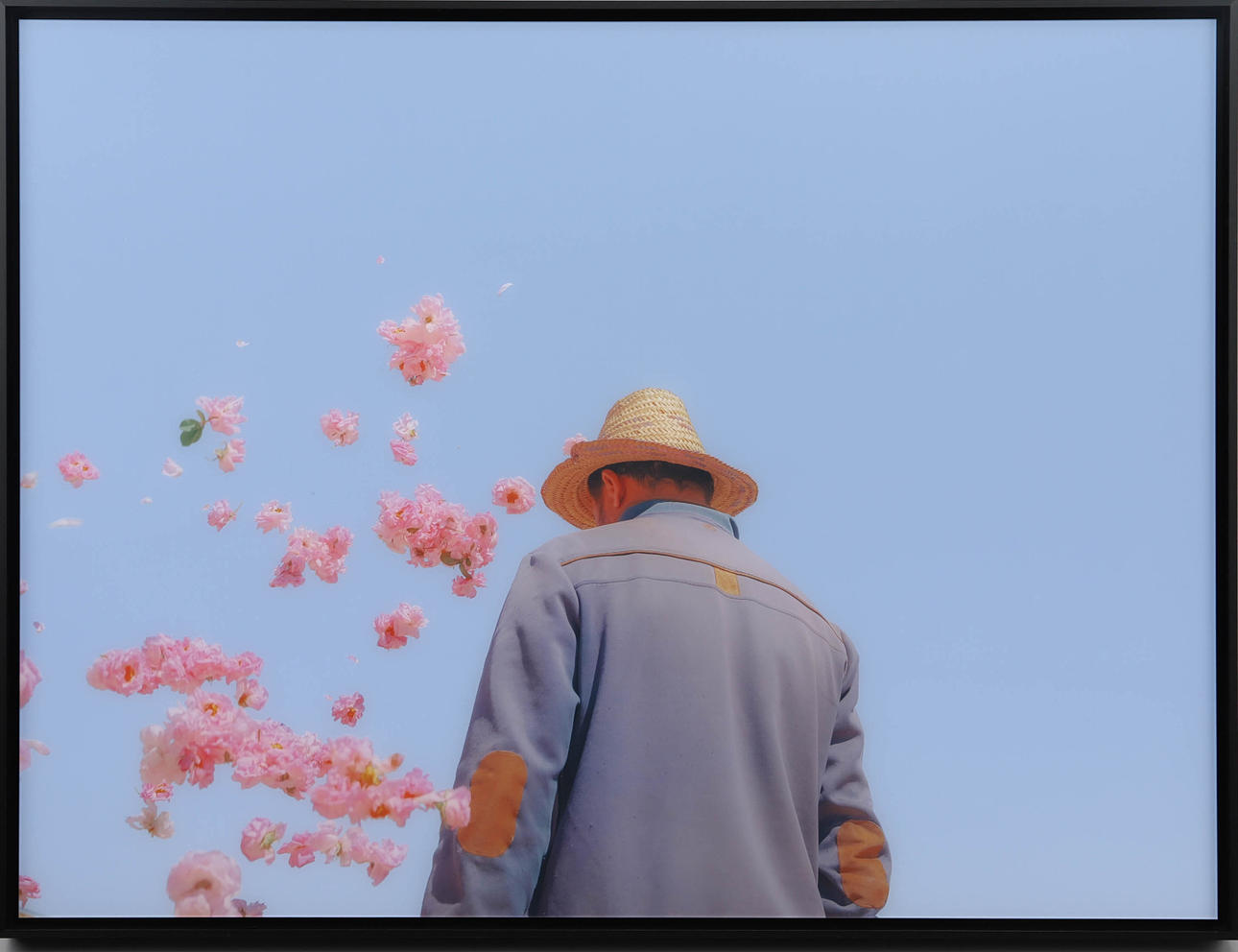 TERESA FREITAS. “Fallen dance” photography.