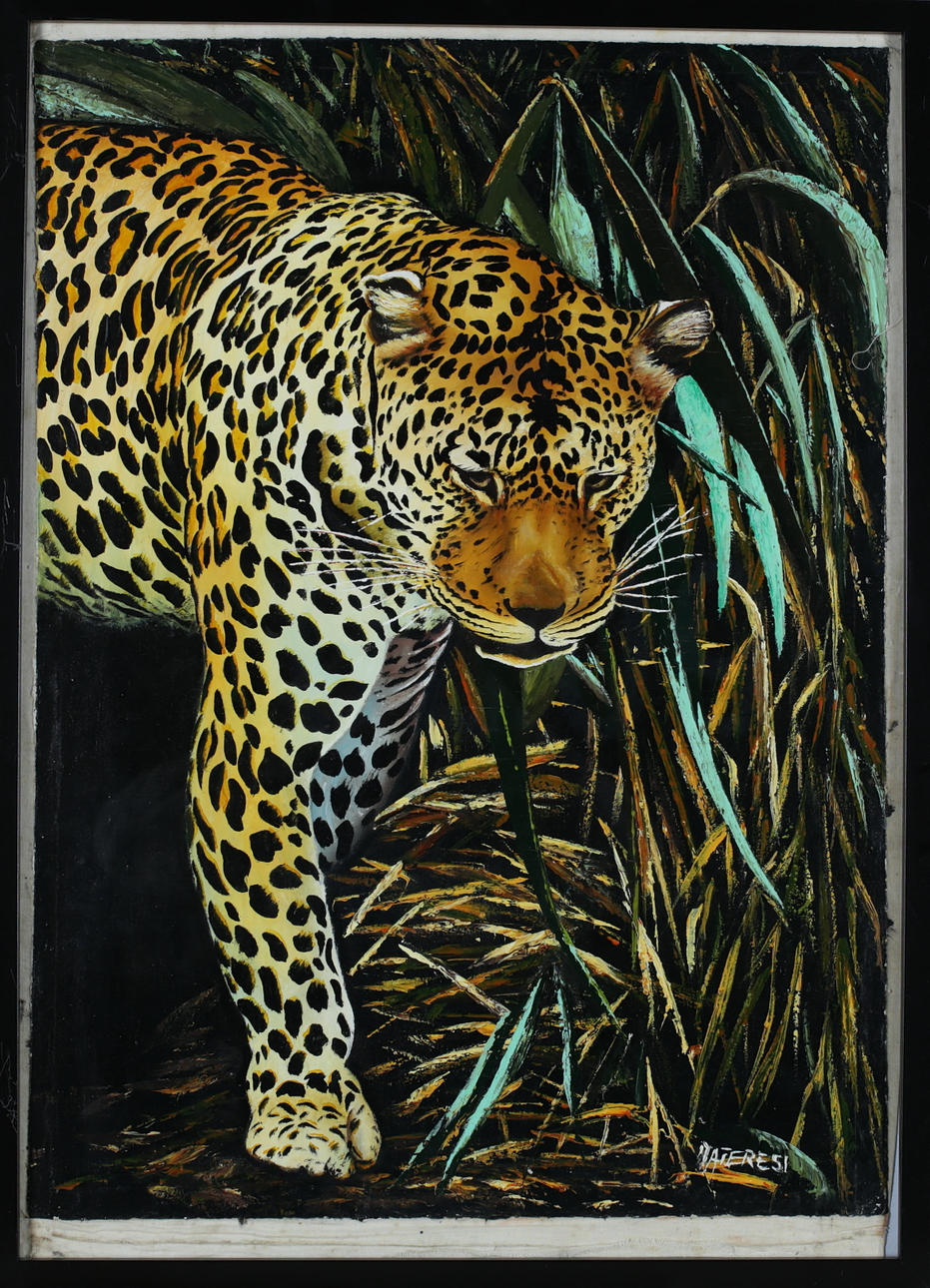 OIDENTIFIERAD KONSTNÄR. Leopard, oil on canvas, signed Materesi.