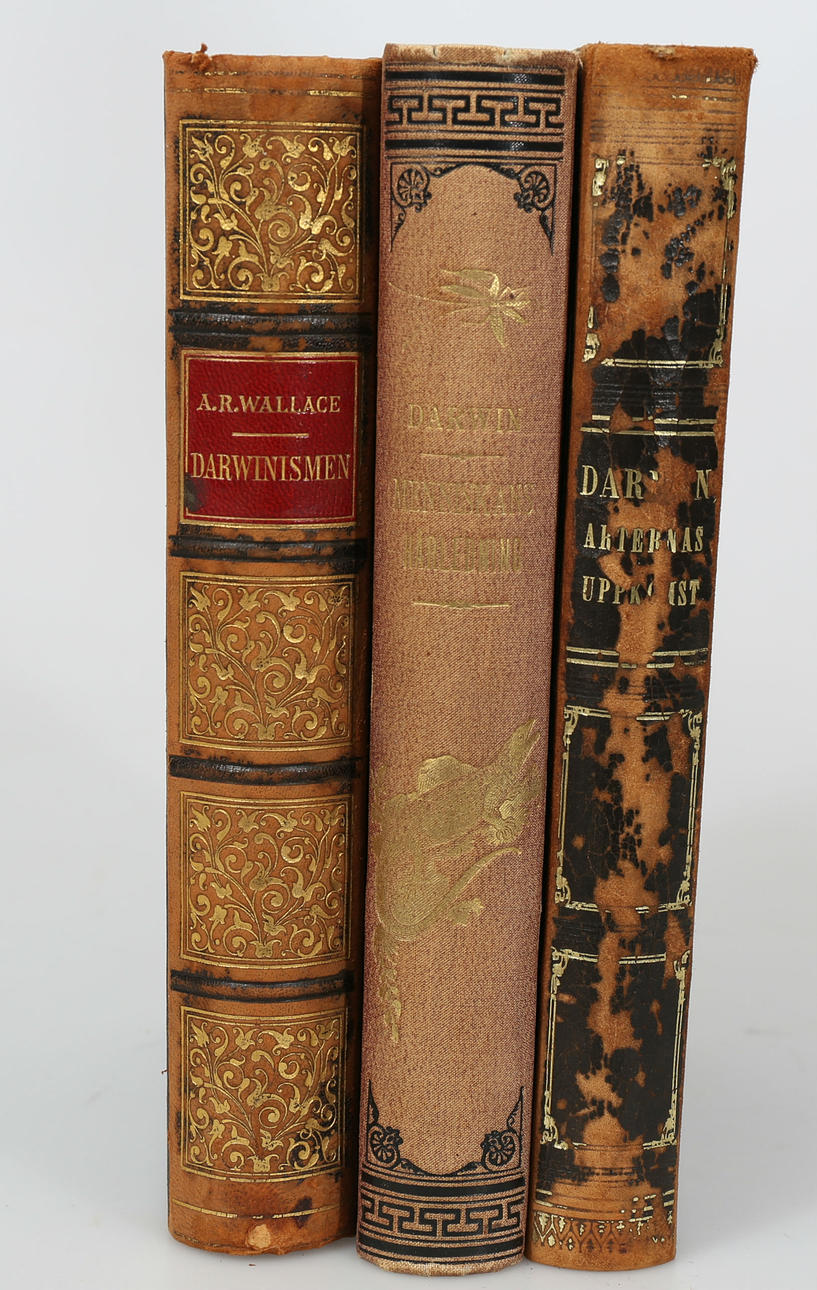 BÖCKER, Darwin och Darwinismen, 3 band, 1800-tal.