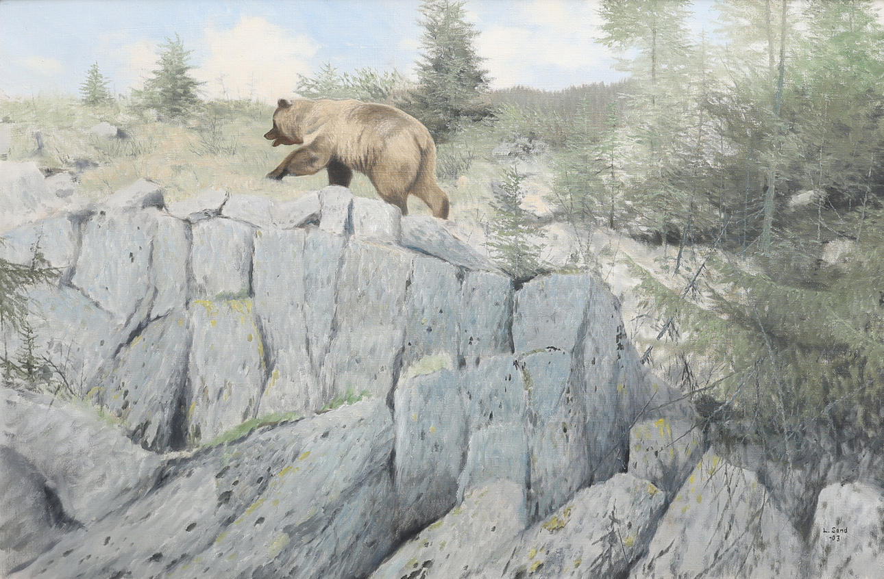 LENNART SAND. BEAR ON MOUNTAIN TOP.