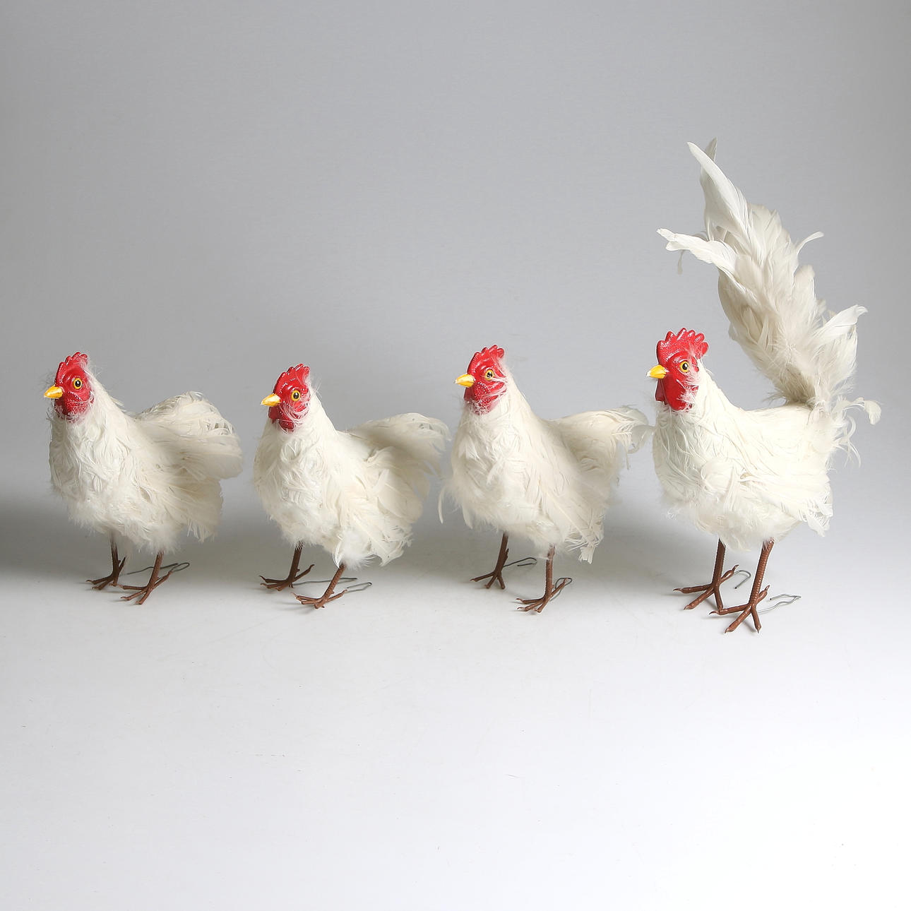 SKYLTMATERIAL, tupp och hönor, 4 st, Tyskland, 1970-tal.