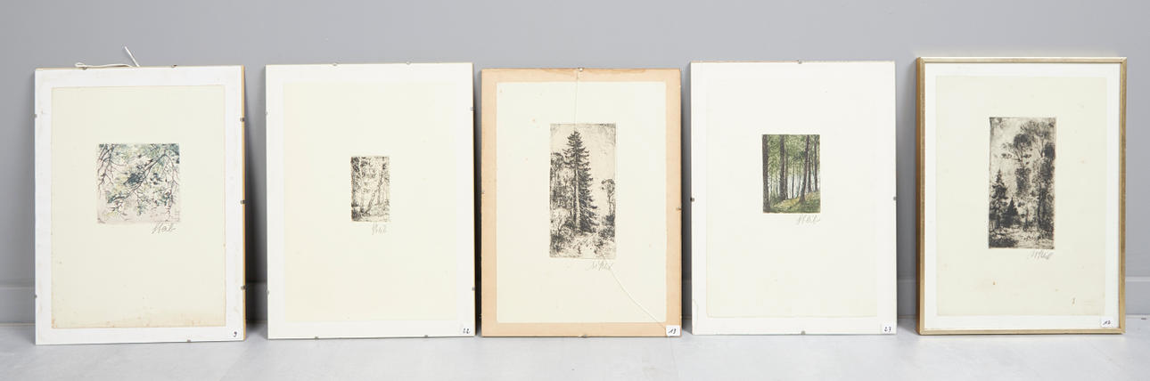 JOSEF STEIB (1898-1957). forest views (5).