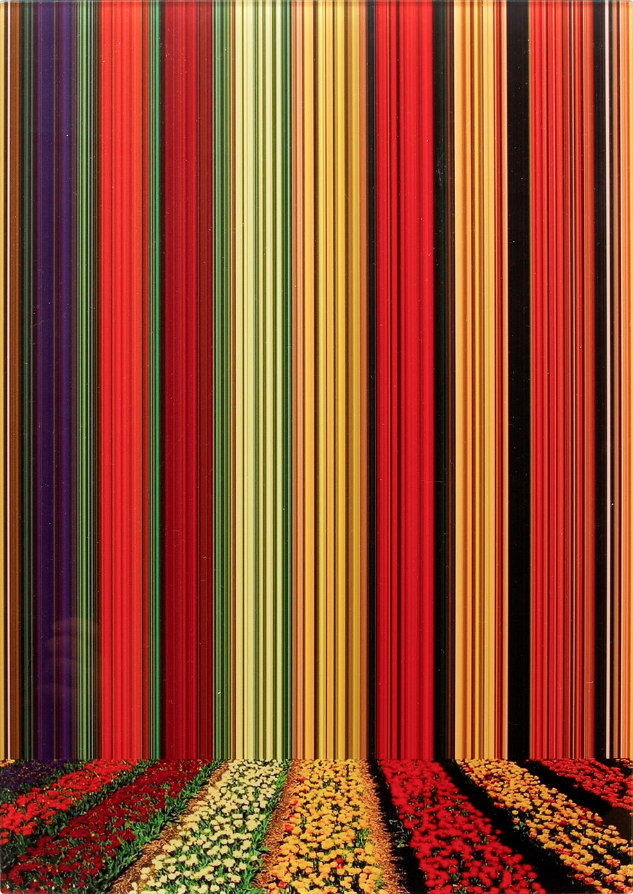 ERIK BERGLIN. “Total_System_Failure - Tulip Variations #72 “, Glazed offset print, signed and dated 2015 on verso.