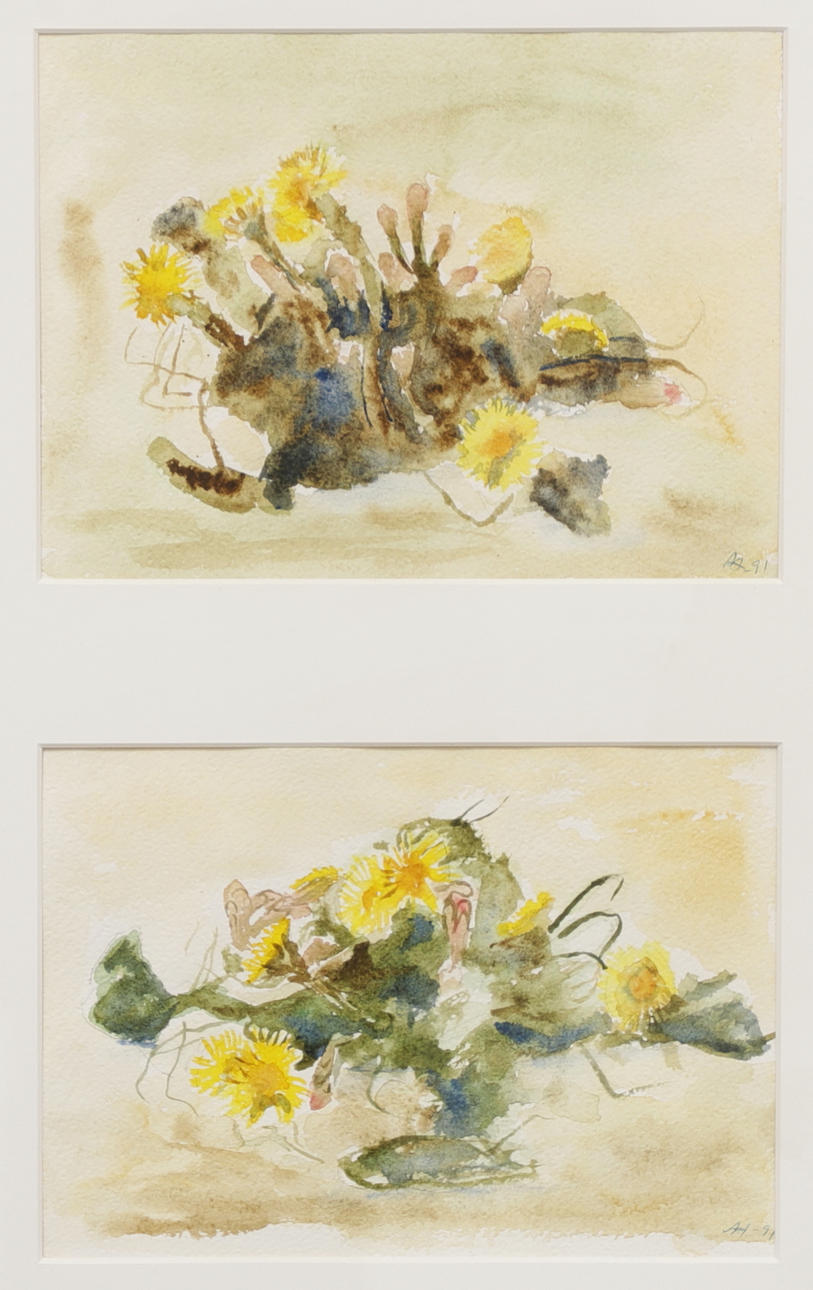 OIDENTIFIERAD KONSTNÄR. "Tussilago", akvarell, signerad.