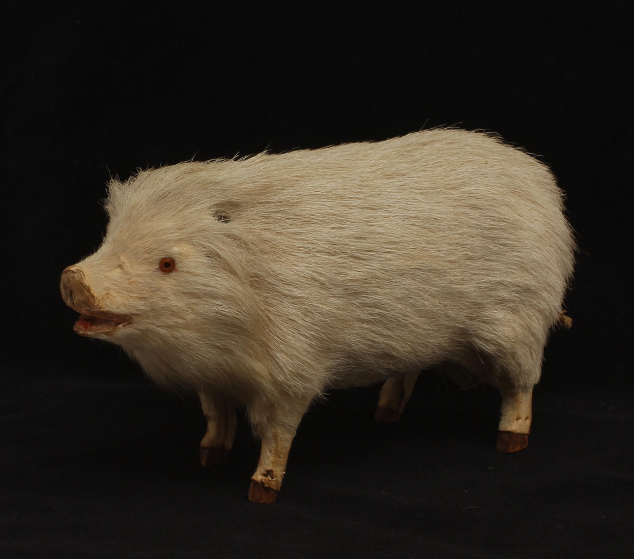 SPELDOSA i form av gris, pälsklädd, tidigt 1900-tal.