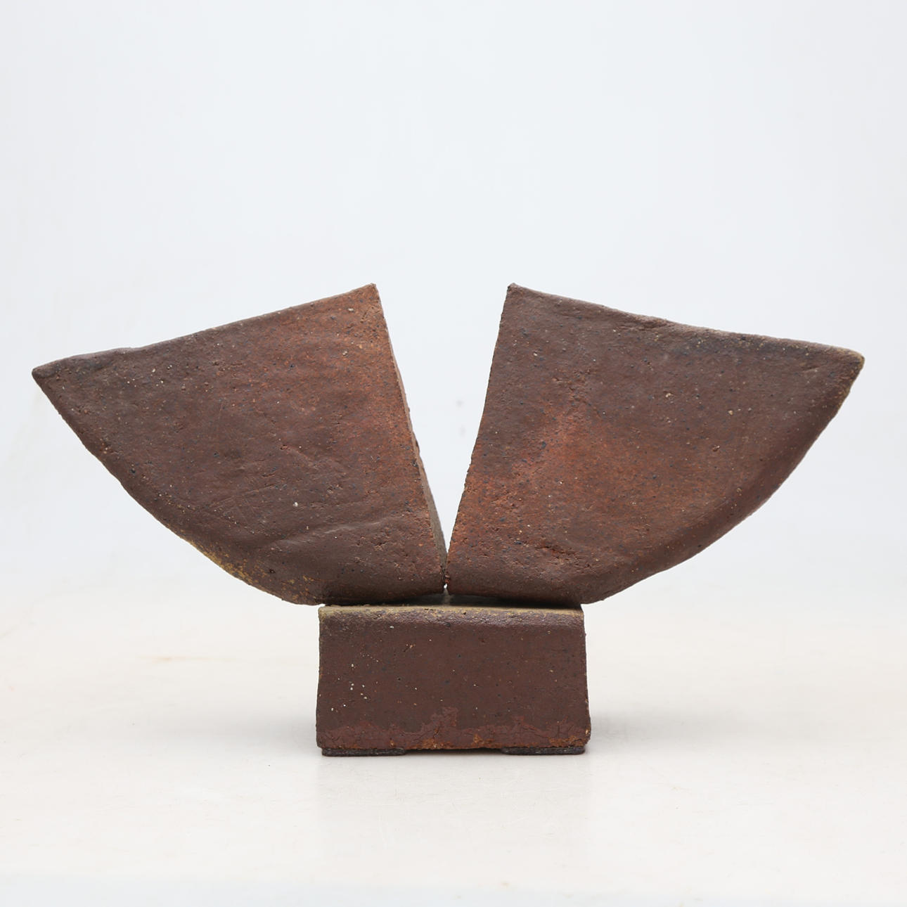 AGUSTÍ ROQUÉ. Sin título.