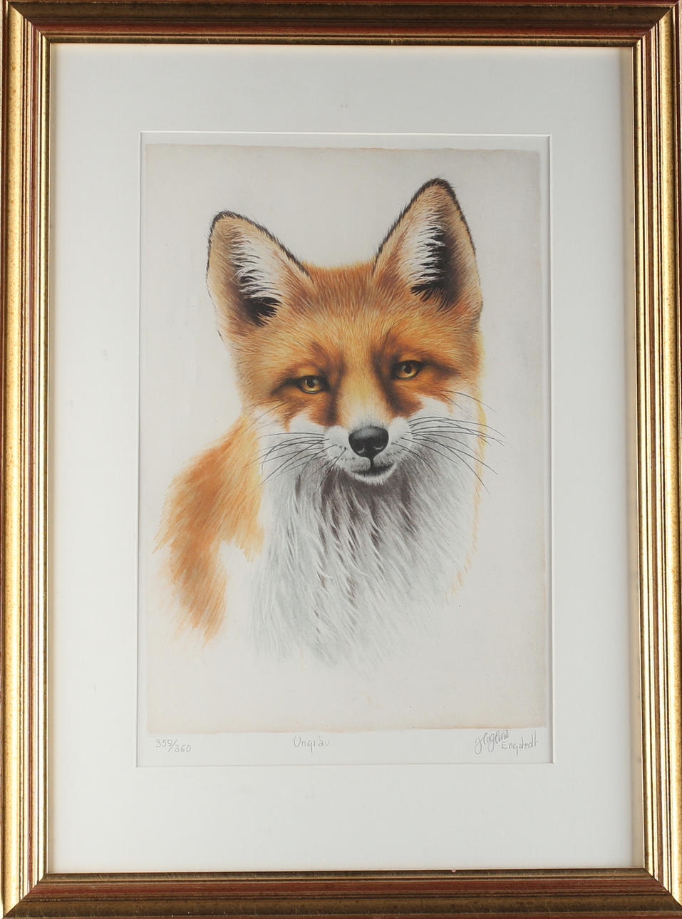 HAG HANS ENGSTEDT. "Ungräv", färglitografi, signerad samt numrerad 359/360.