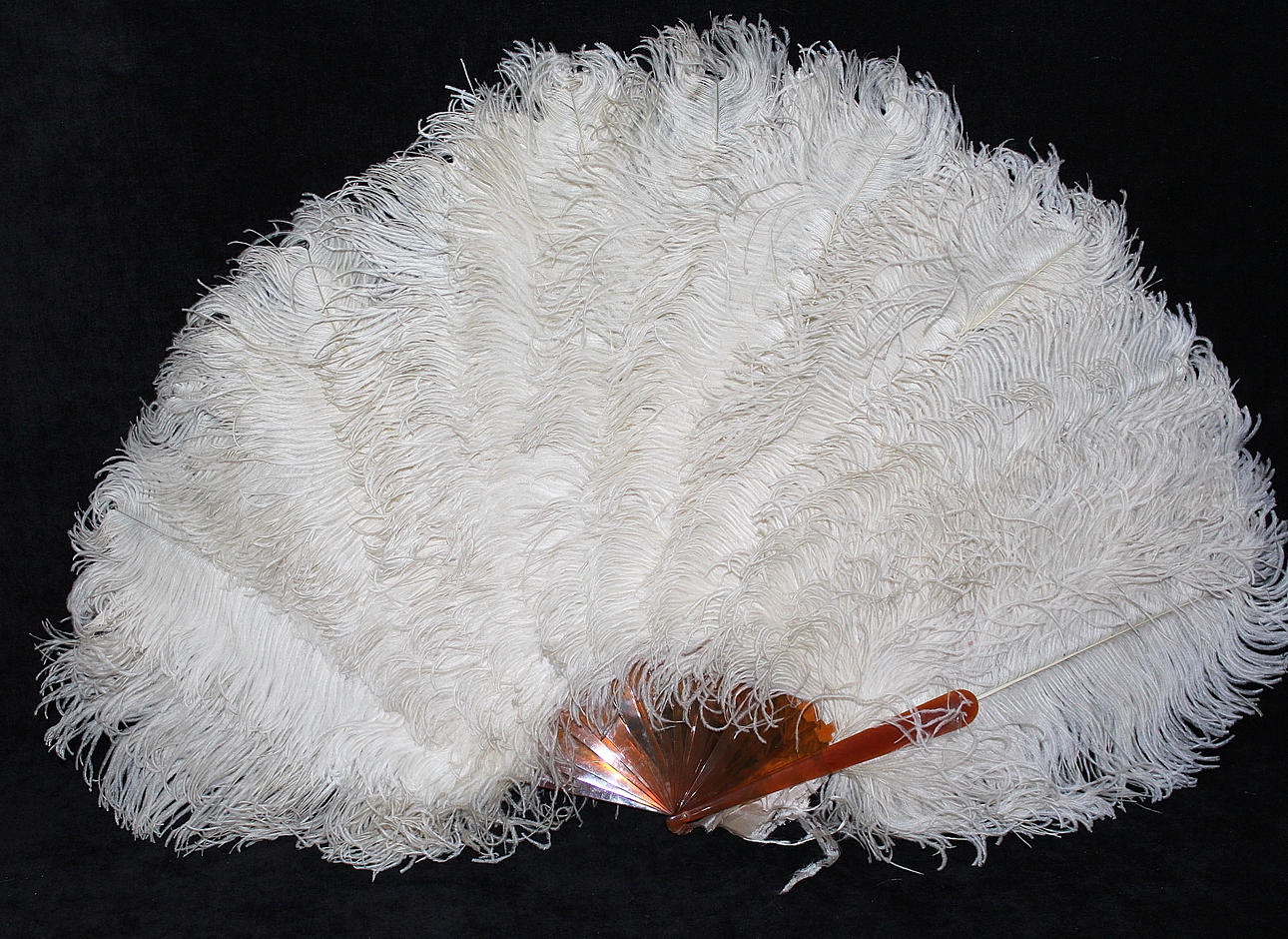 SOLFJÄDER, strutsfjädrar 1900-talets första hälft.