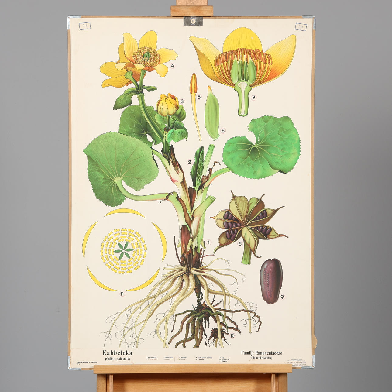 SCHOOL PLAN, “Kabbeleka”, Interdidact, Stig Jung & Co, Lidingö.