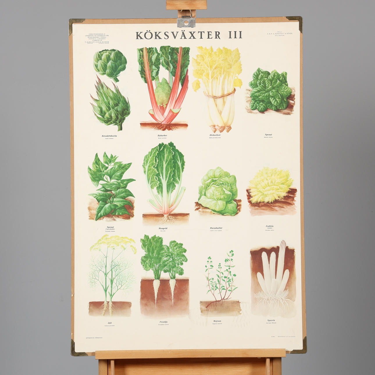 SKOLEPLAN, „Køkkenplanter III“, P.A. Norstedt & Sønner.