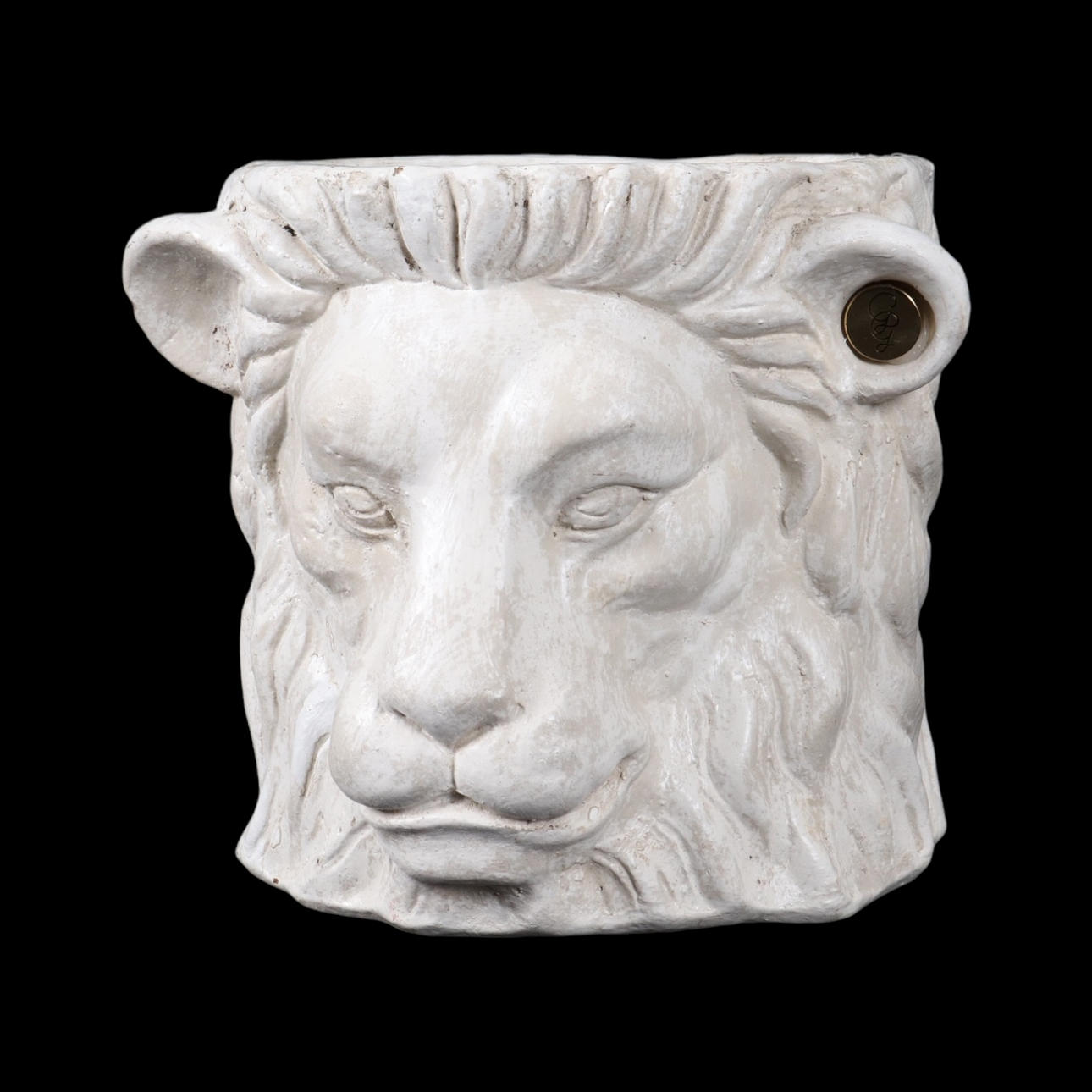 Kruka Lejonhuvud. Vit Garden Glory, samtida.