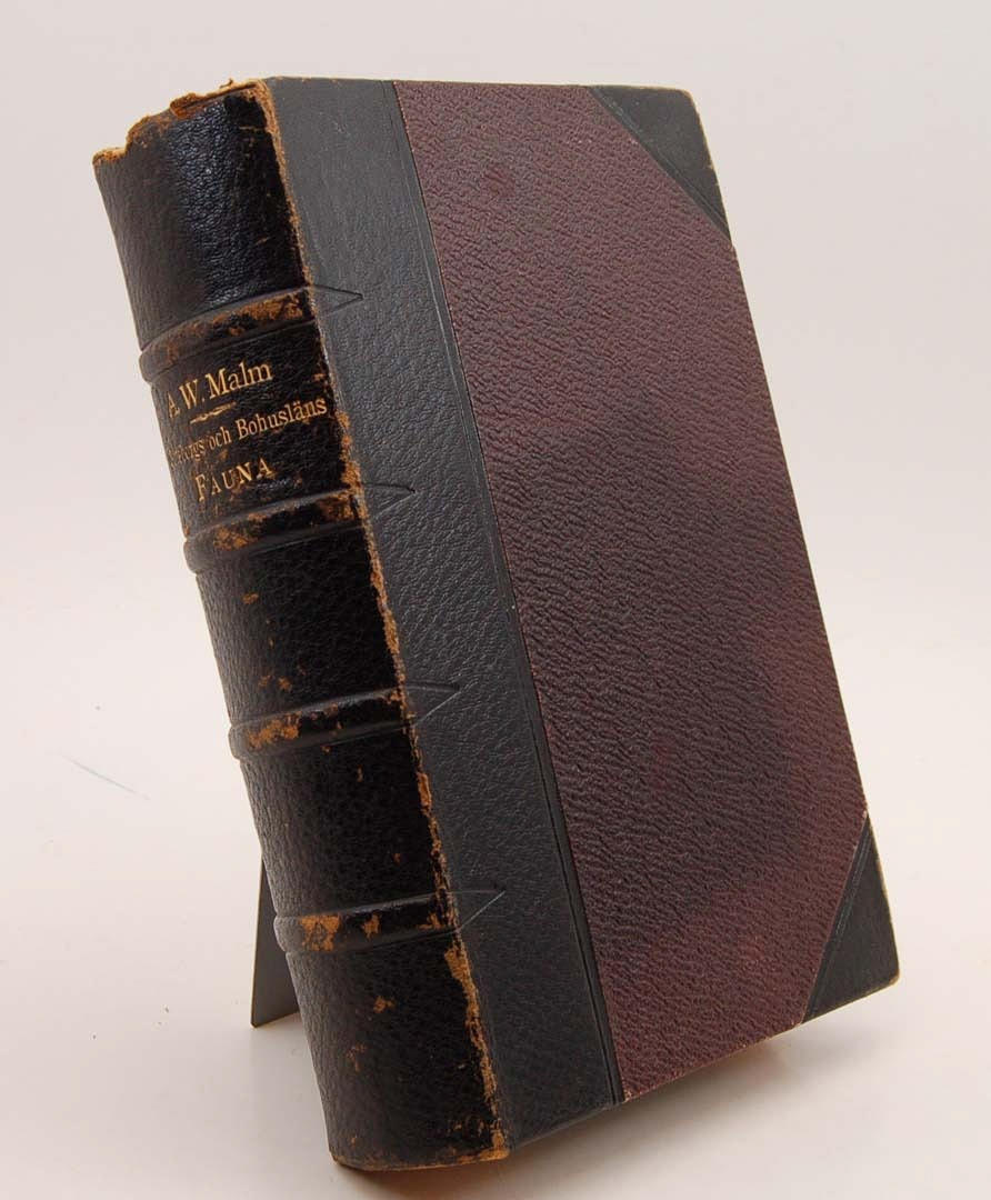 A. W. MALM. Göteborgs och Bohusläns FAUNA 1877.