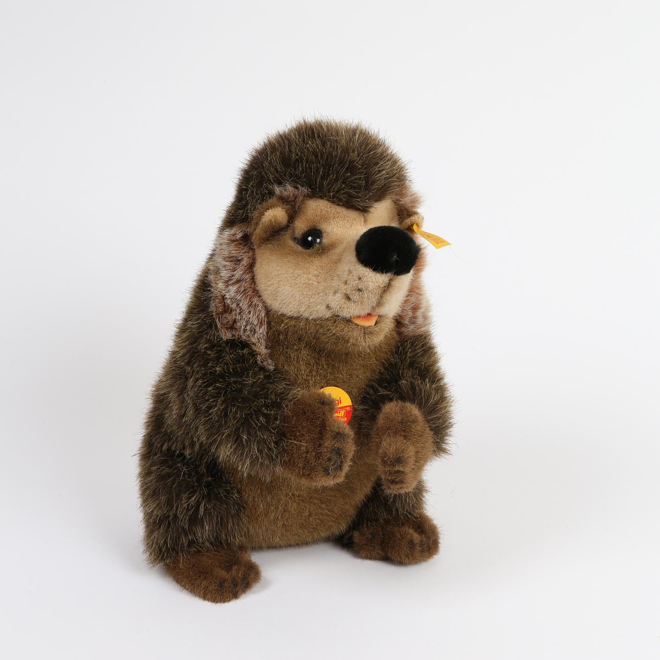 EIN STEIFER TIERLEBEN-IGEL.