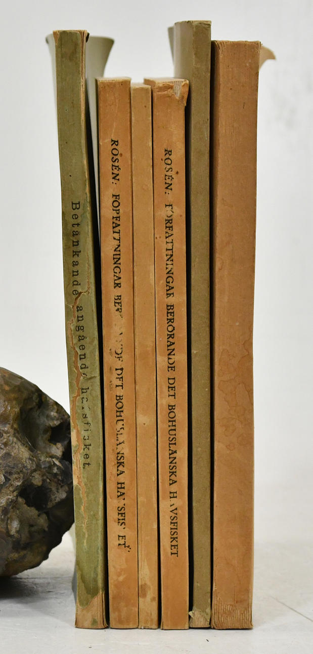 Constituciones de la pesca marítima 6 vol.