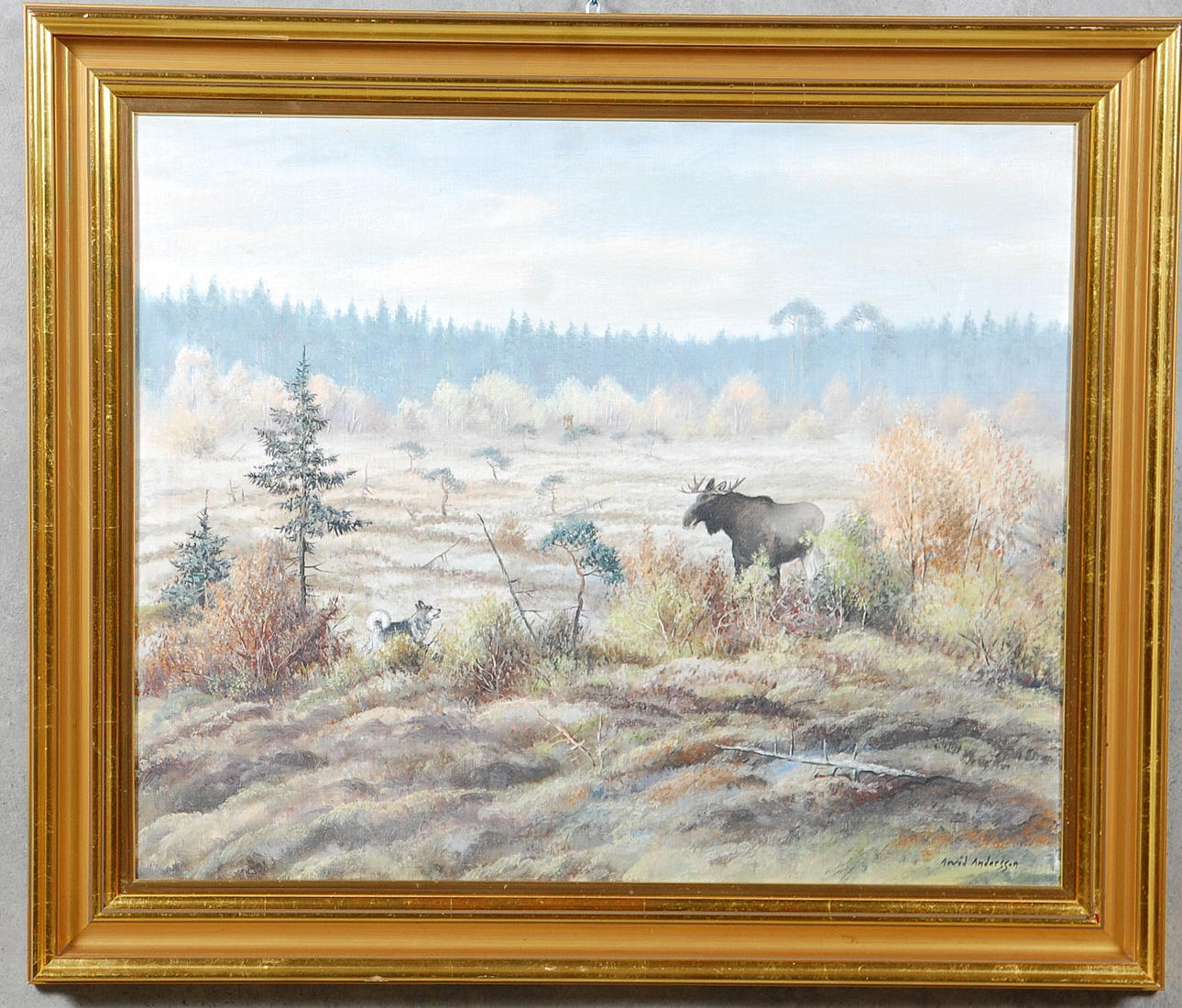 ARVID  ANDERSSON. olja på duk, " Skogslandskap med älg och hund " signerad.
