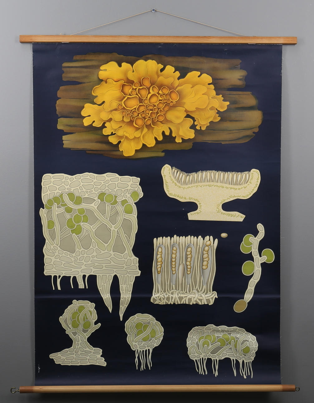 SKOLPLANSCH, Gul Vägglav, Gumperts.