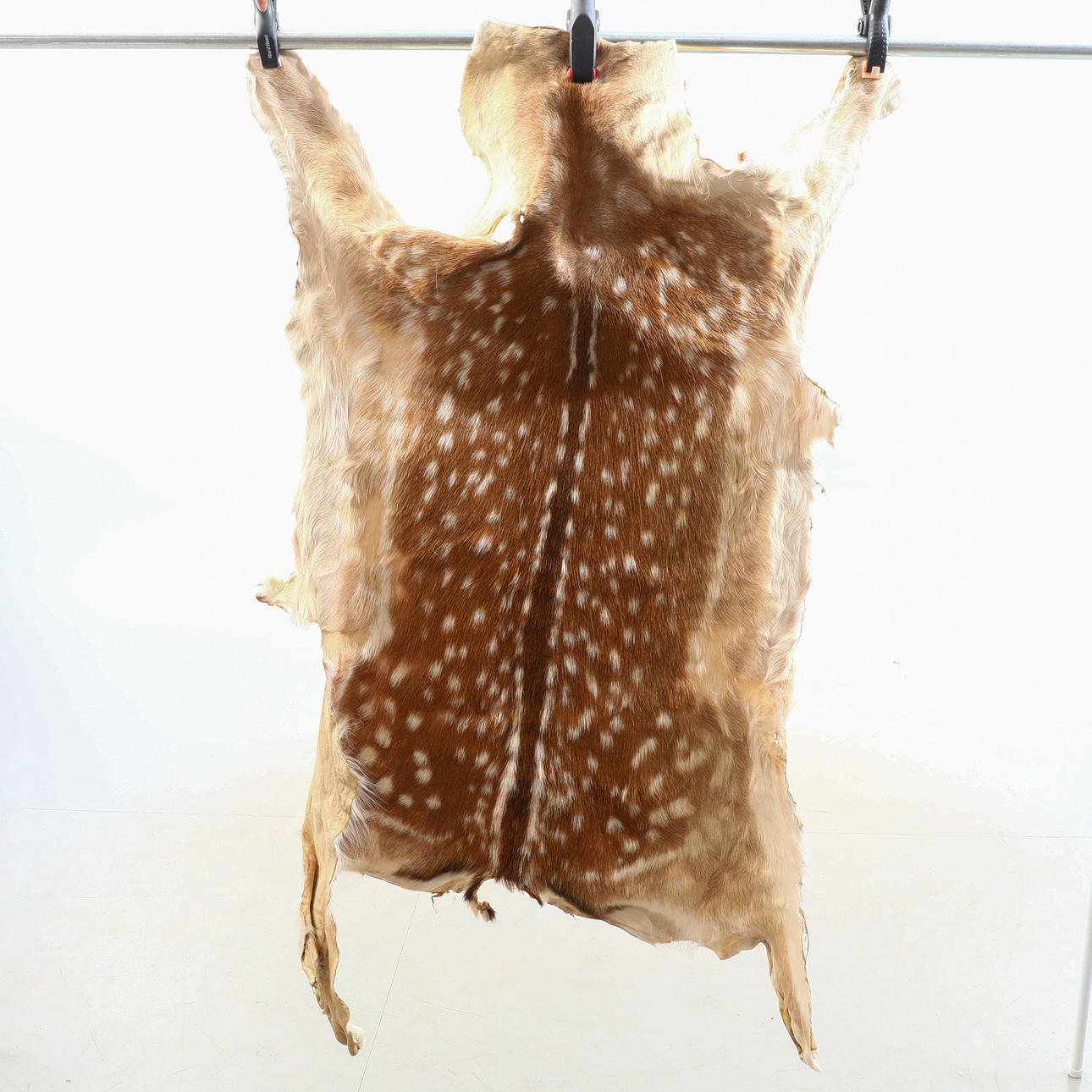 PIEL, Gamo, 102 x 107 cm.