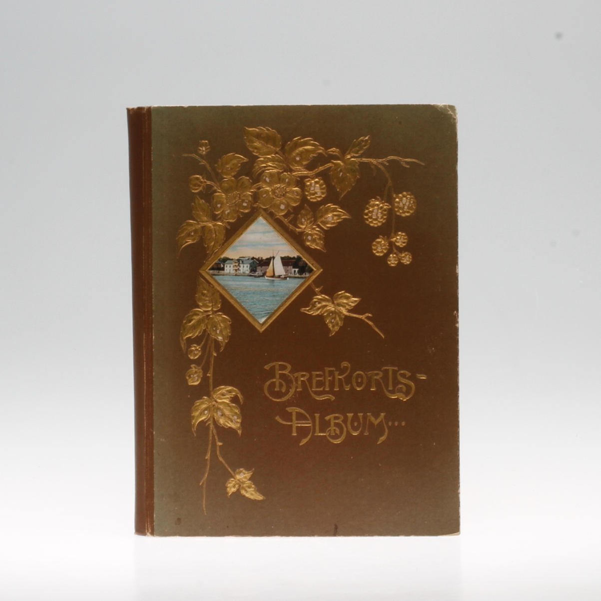 ALBUM med VYKORT, 1900-talets början.