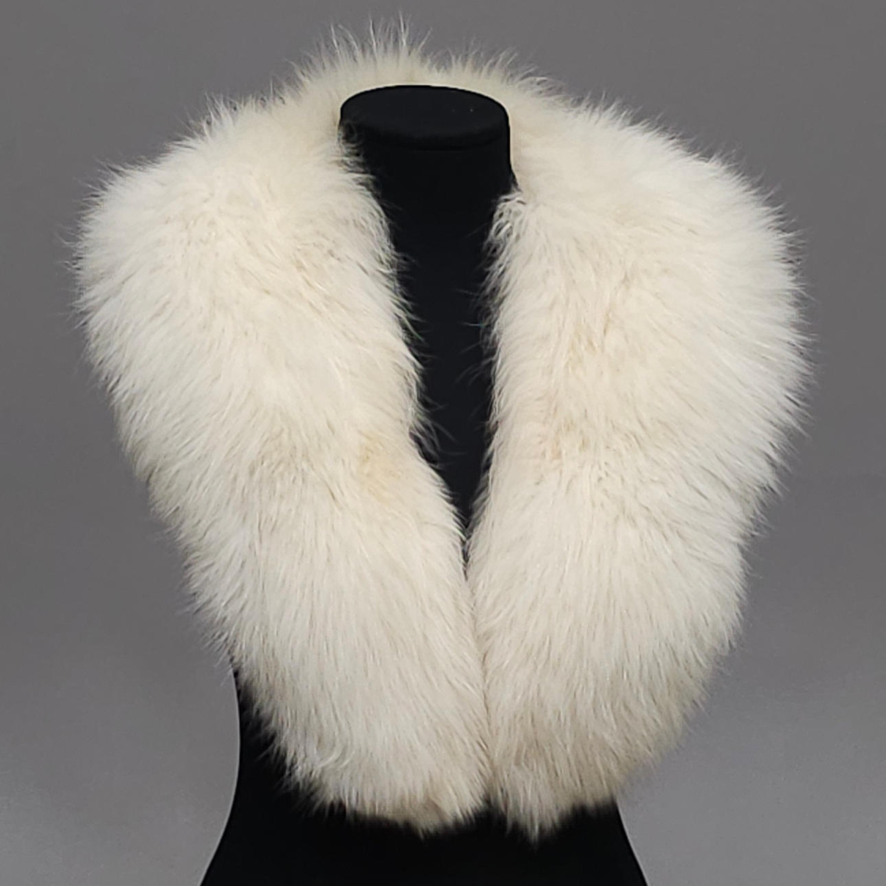 BIG COLLAR IN A WHITE FOX, JOSÉ LUIS AZNÁREZ.