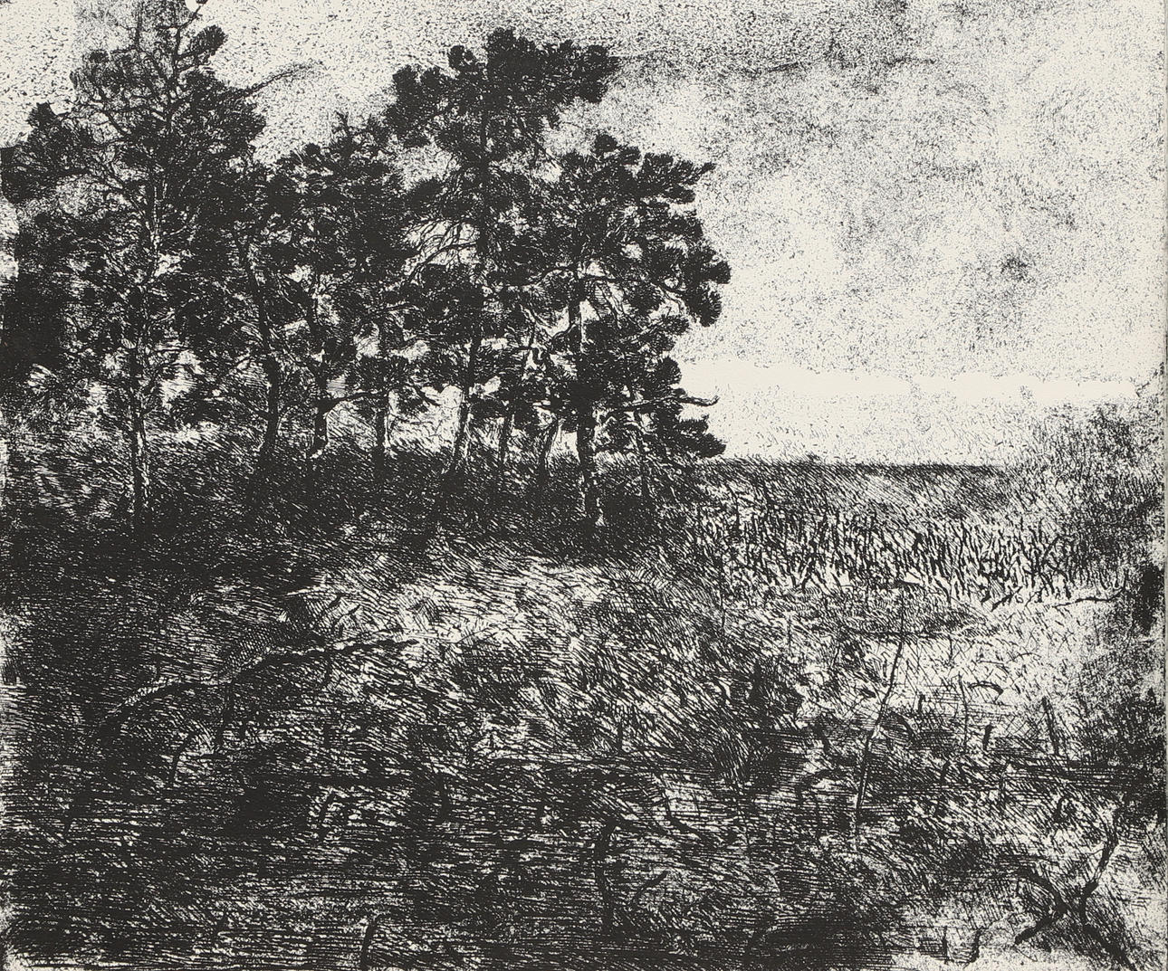 RUNE GRÖNJORD. Etching, “Myrmark”, signed, numbered 113/310. Art ...