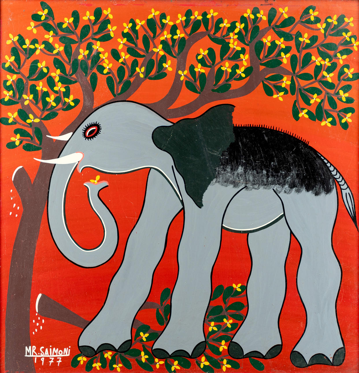 MR. SAIMONI. elephant.