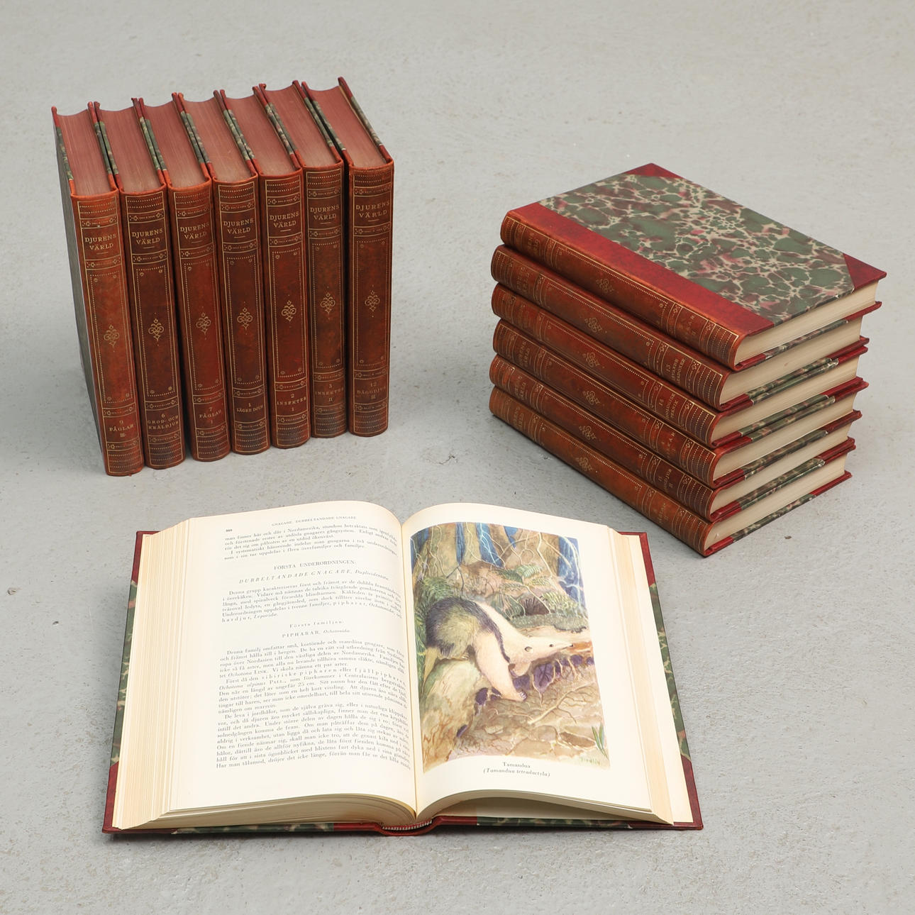 Böcker, 14 volymer, "Djurens Värld", 1950-tal.