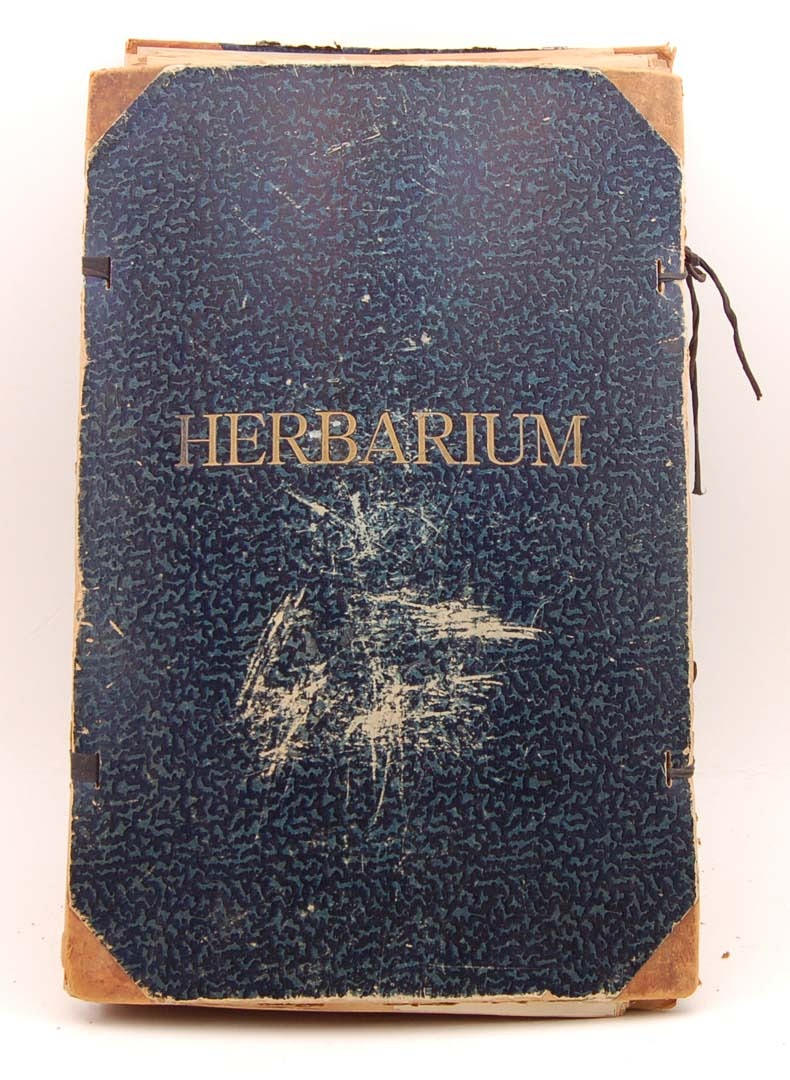 ÄLDRE HERBARIUM. Kristianstad 1934-45 150 uppfordrade växter.