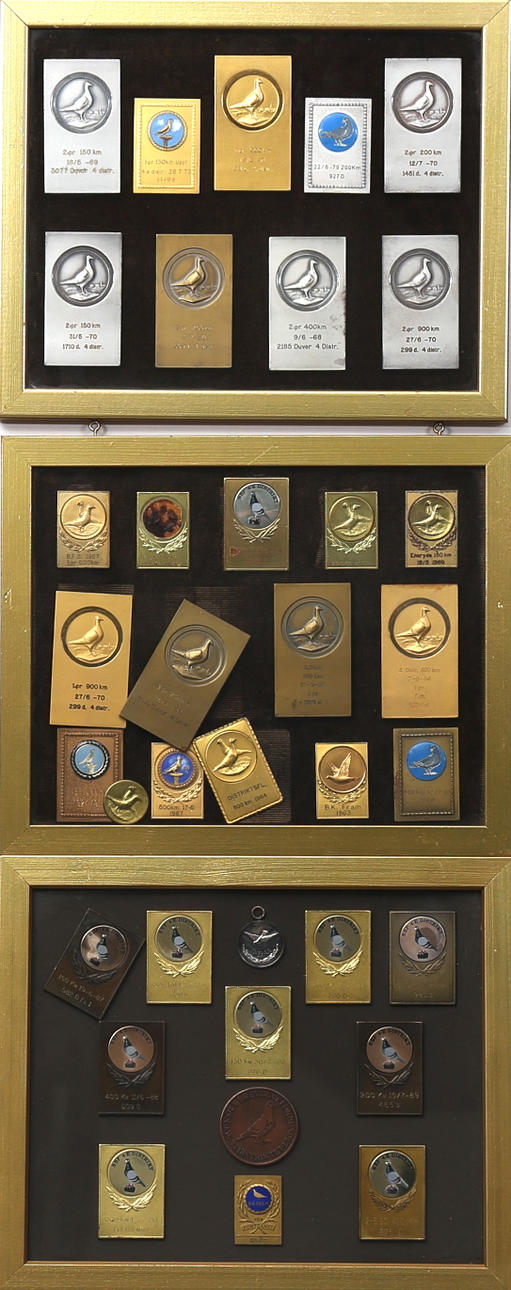 MEDAILLEN, Ein Menge von 35, Brieftaubenverband.