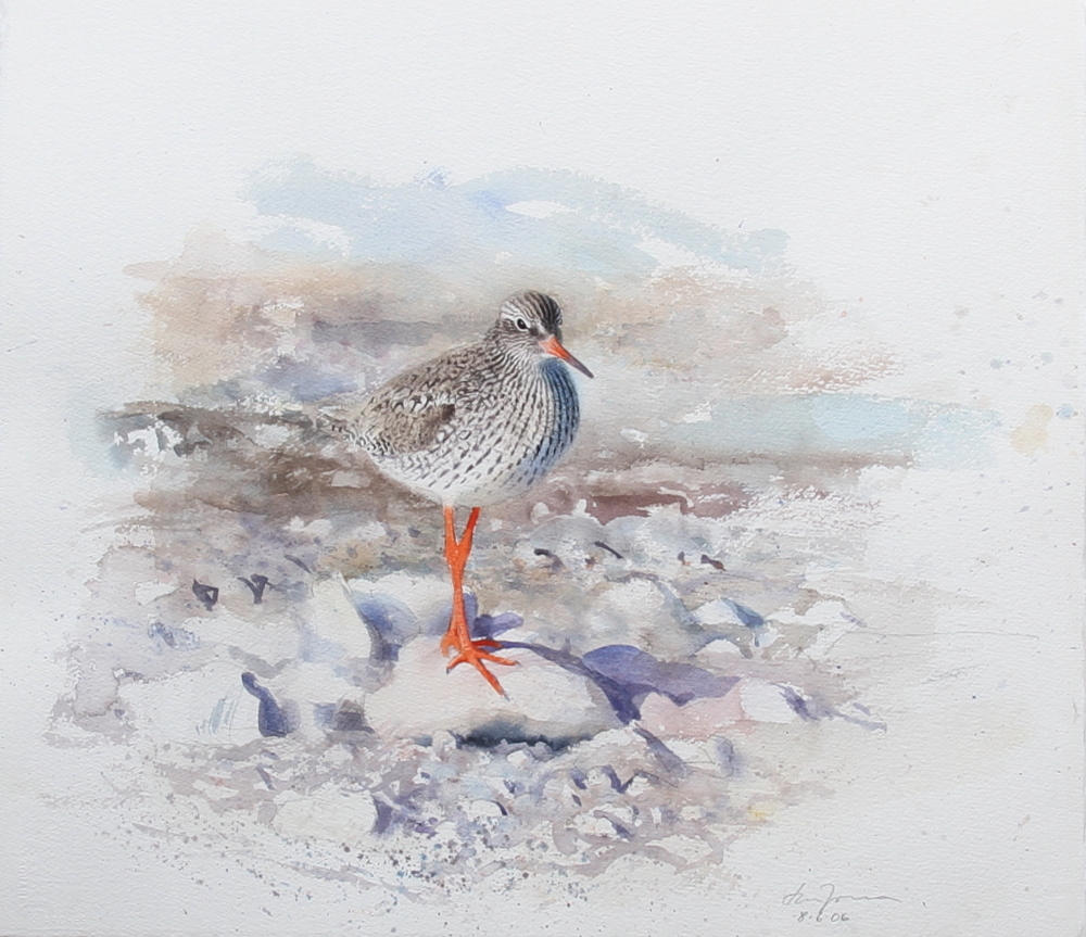 LARS JONSSON. akvarell, "rödben på vakt", signerad och daterad 8/6 2006.