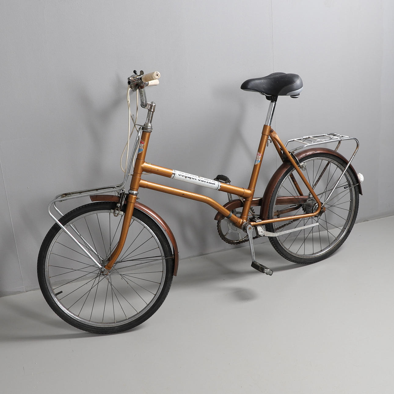 EN KOSMOPOLITISK CYKEL.