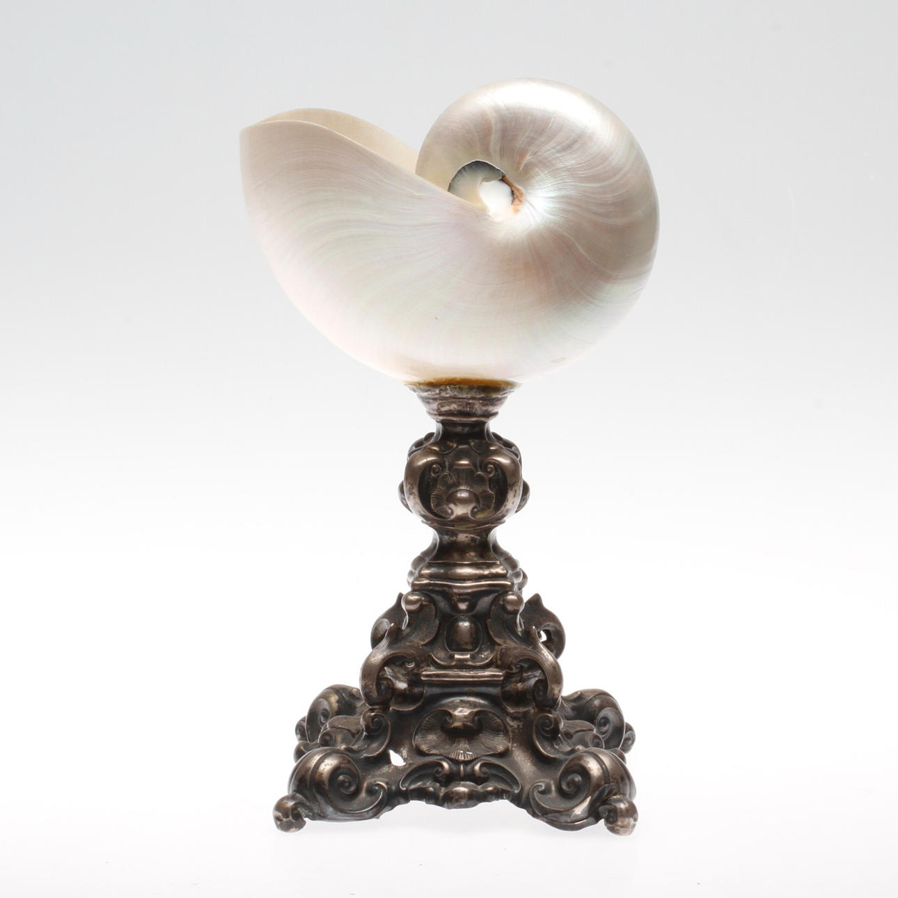 NAUTILUSPOKAL, omkring 1900.