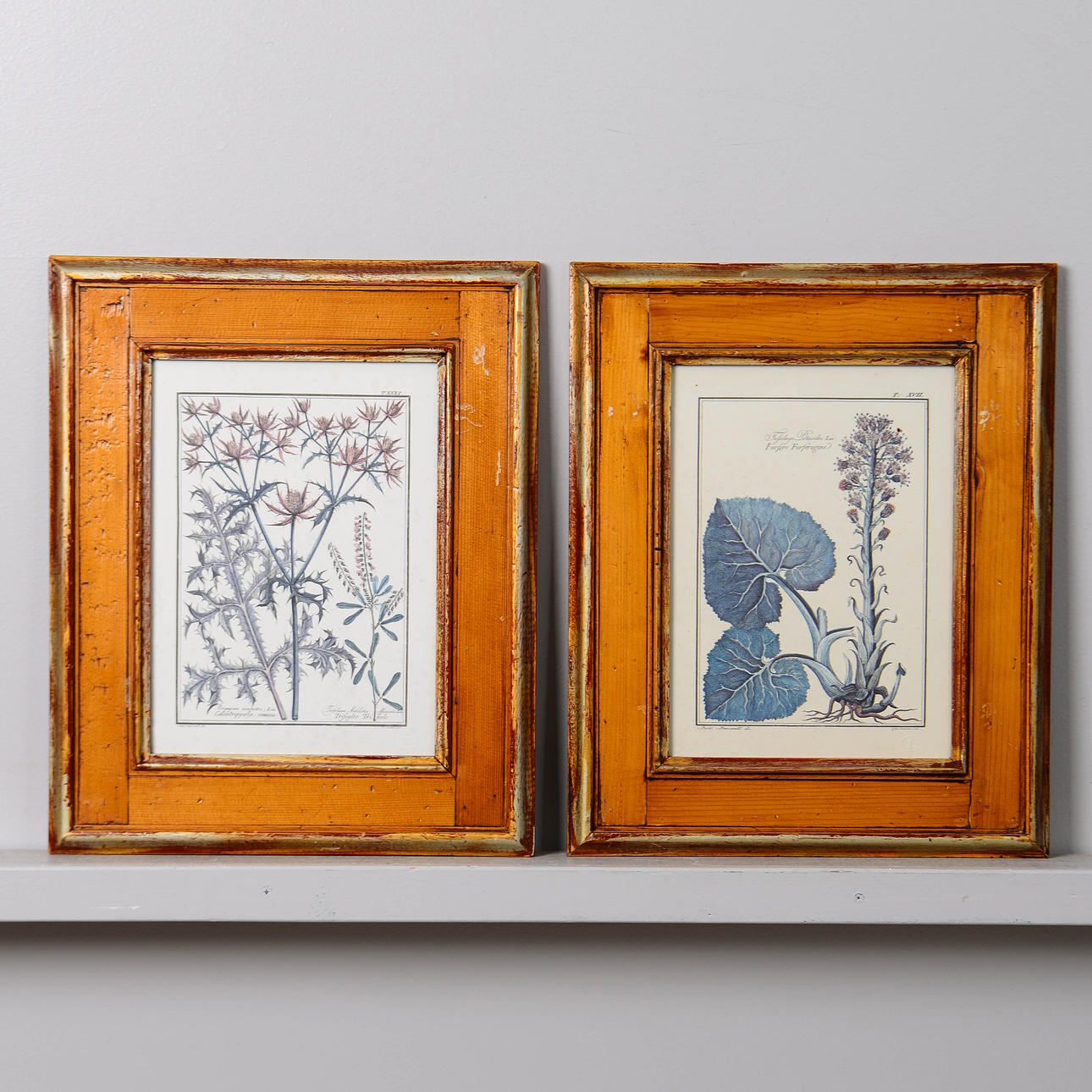 BLOMSTERTAVLOR, 2 st, grafiska blad, Italien.