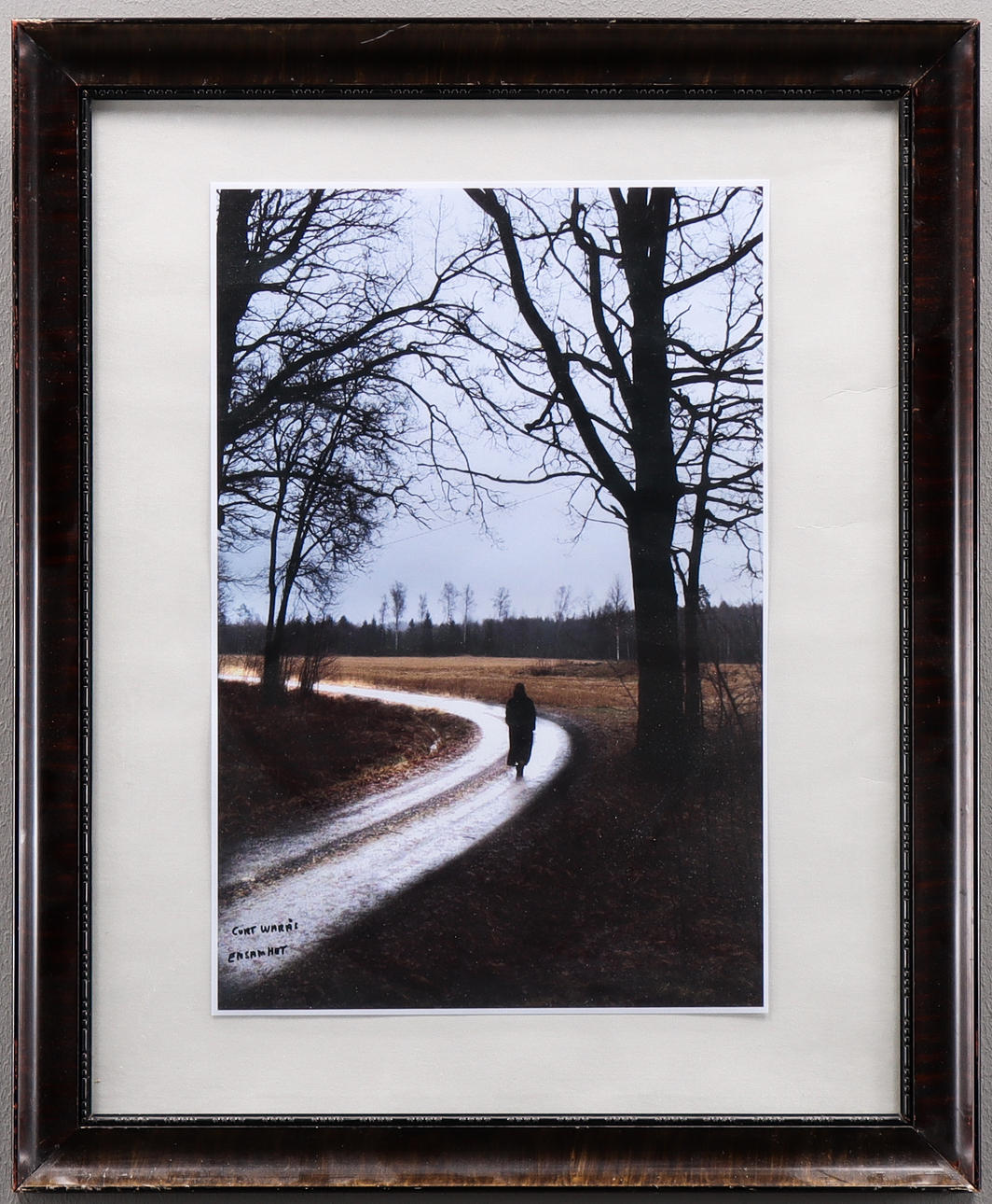 CURT WARÅS. Värivalokuvaus, Yksinäisyys.