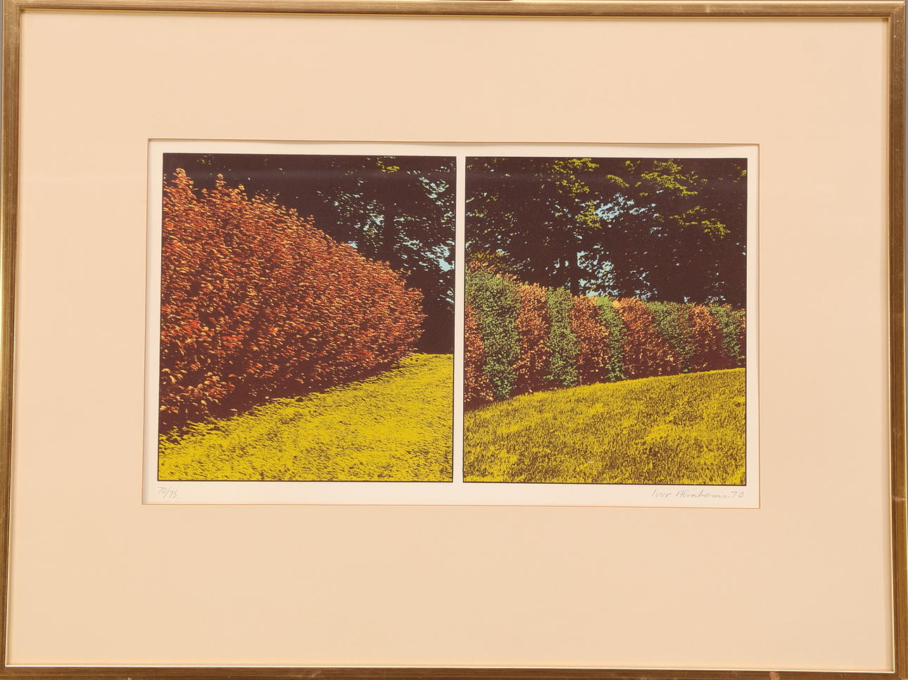 IVOR ABRAHAMS. Häckar, färglitografi 70/75, signerad och daterad Ivor Abrahams -70.