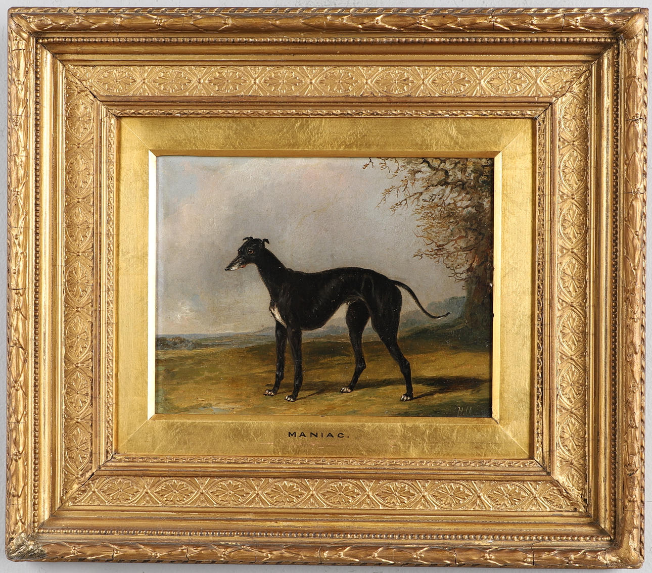 HENRY THOMAS ALKEN (1785-1851). `MANIAC`, A BLACK GREYHOUND.