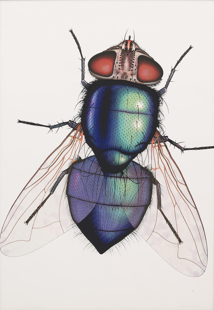 ANDERS ÖSTERLIN. «La mosca», serigrafía, firmada, edición 800 ex.