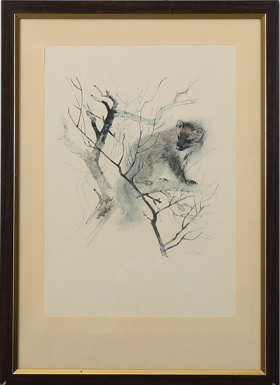 MADS STAGE. Motiv av mård bland grenverk, offsettryck, signerat i trycket.